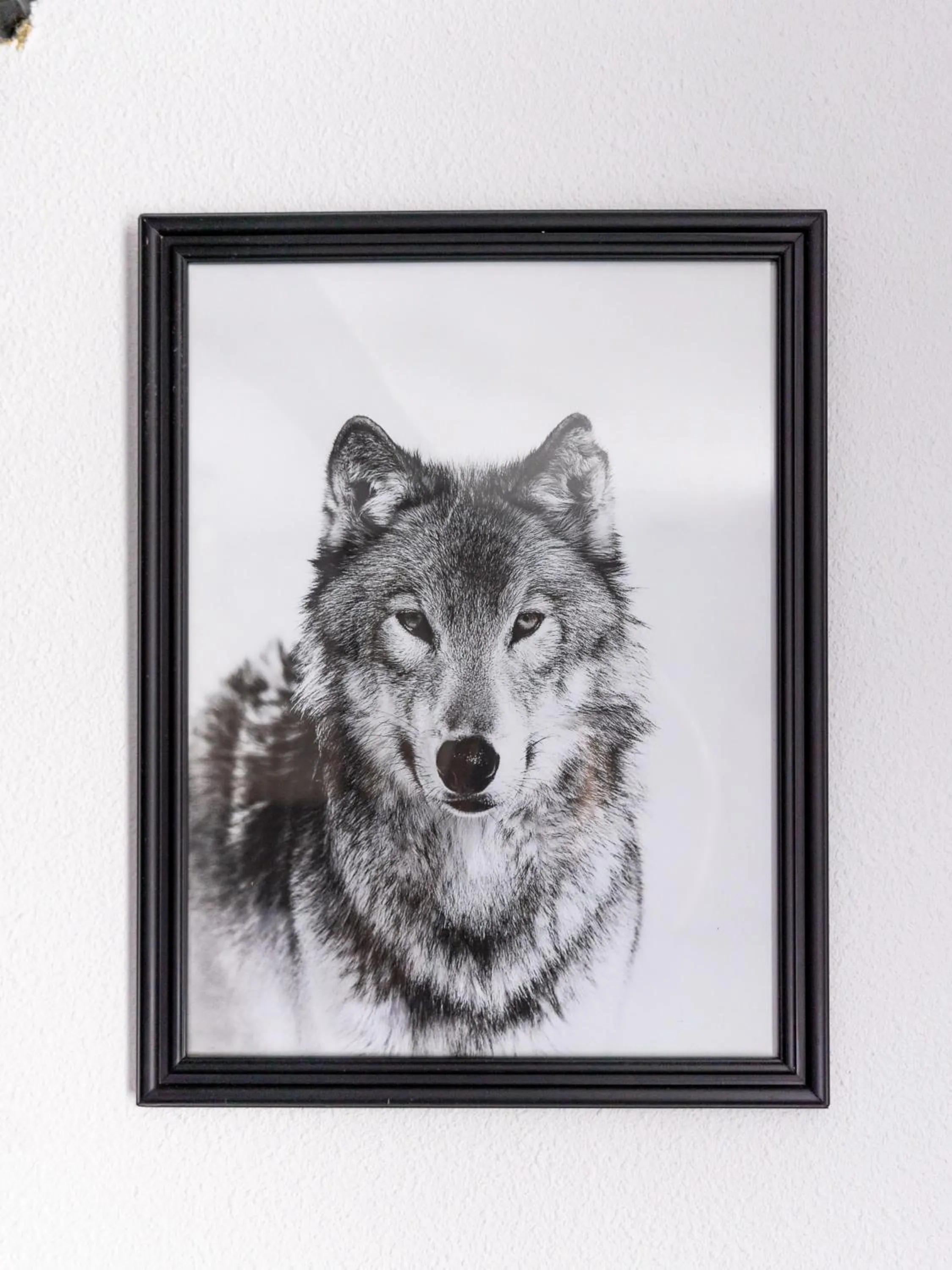 Decorative detail in Wolf Hotel Kitchen & Bar