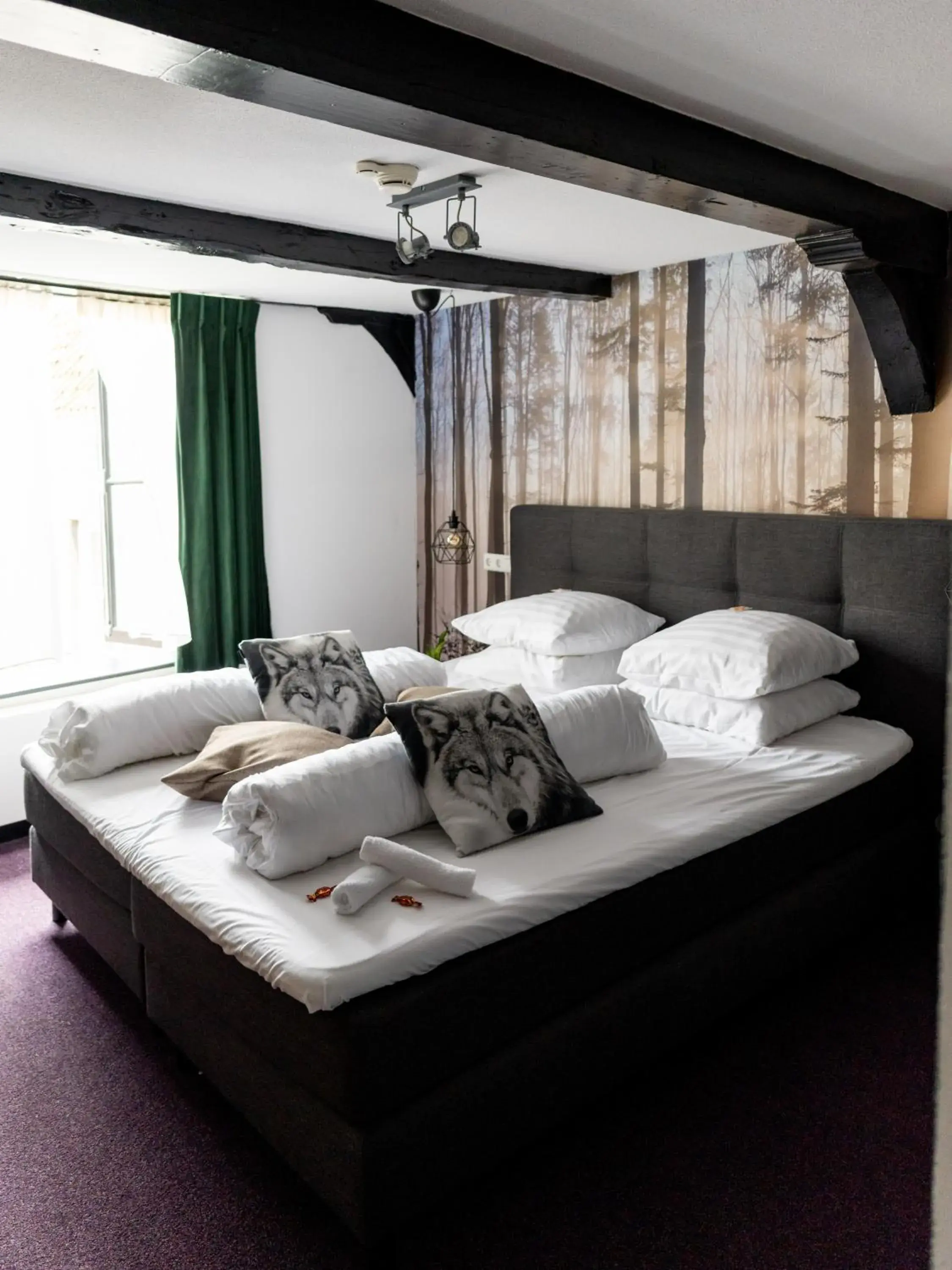 Deluxe Double Room in Wolf Hotel Kitchen & Bar Deluxe Double Room in Wolf Hotel Kitchen & Bar