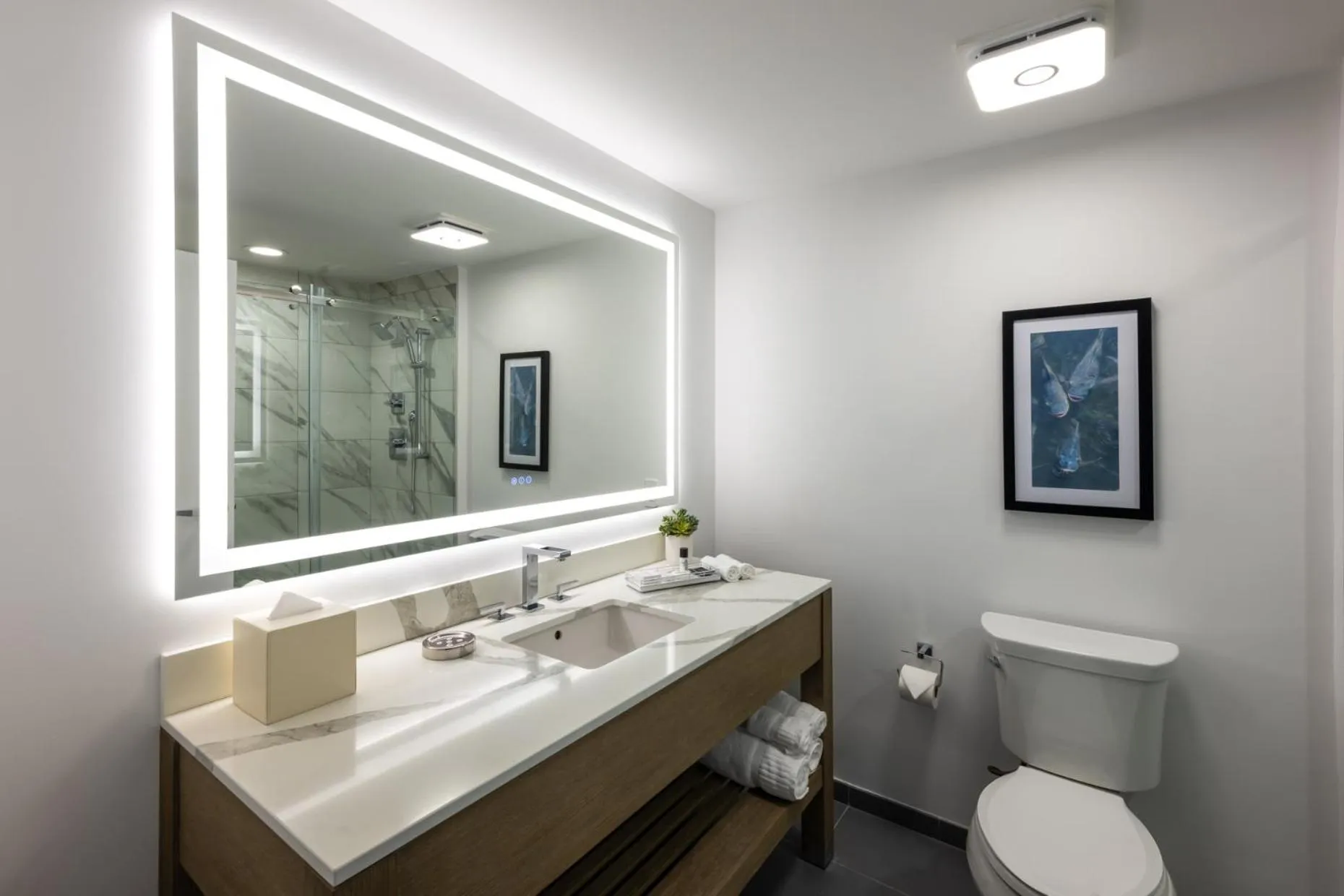 Miccosukee Casino & Resort