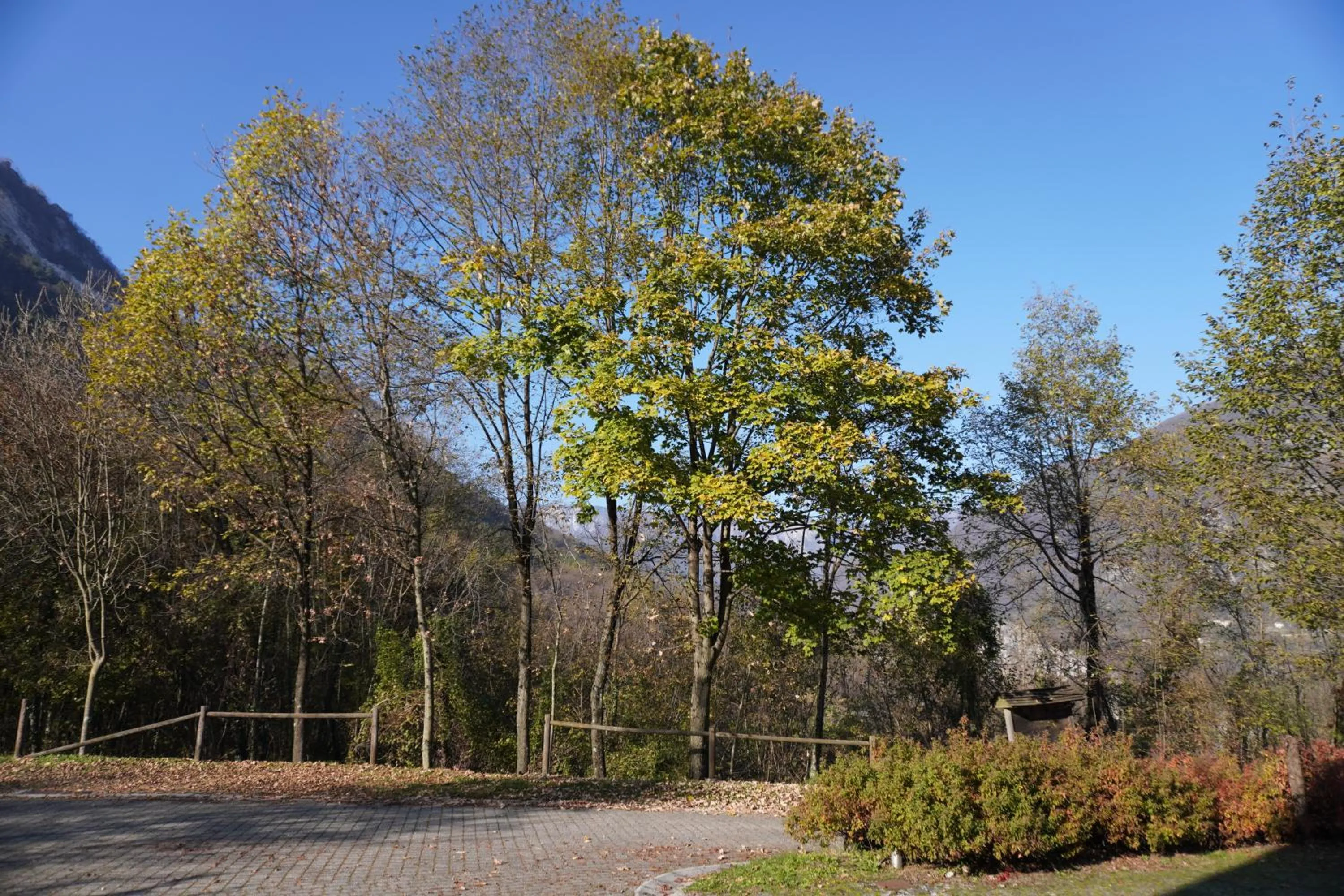 Natural landscape in Giorgio e Flora Ristorante e Locanda