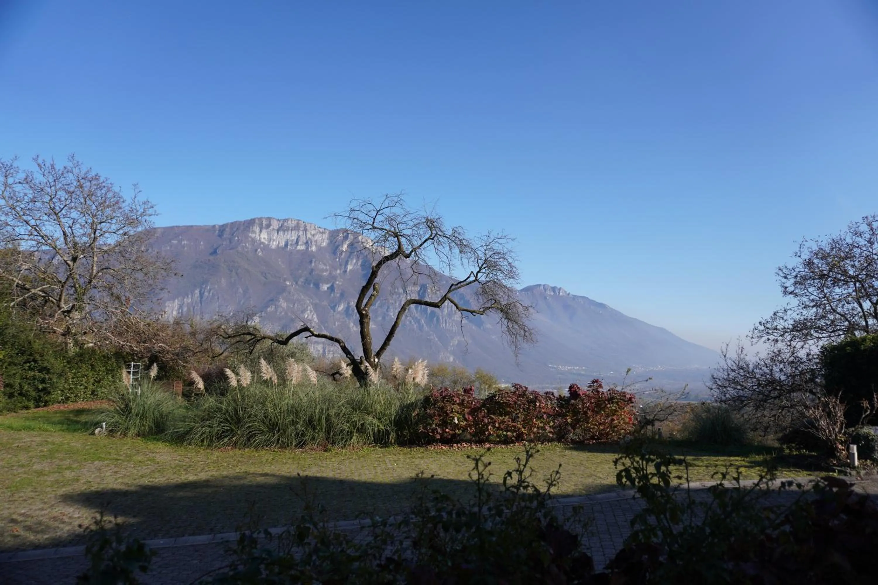 Natural landscape in Giorgio e Flora Ristorante e Locanda