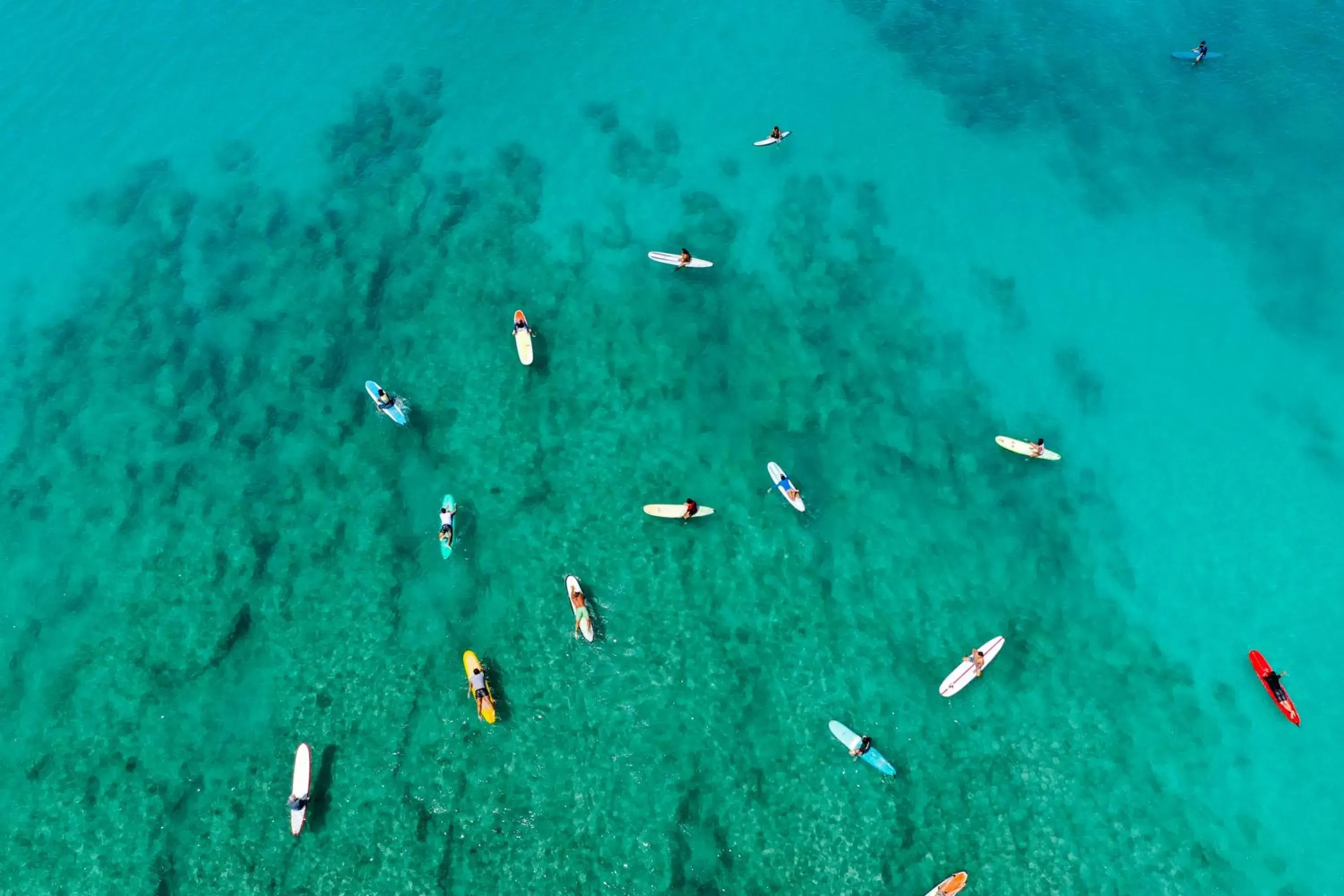 Bird's eye view in Lotus Honolulu at Diamond Head Bird's eye view in Lotus Honolulu at Diamond Head