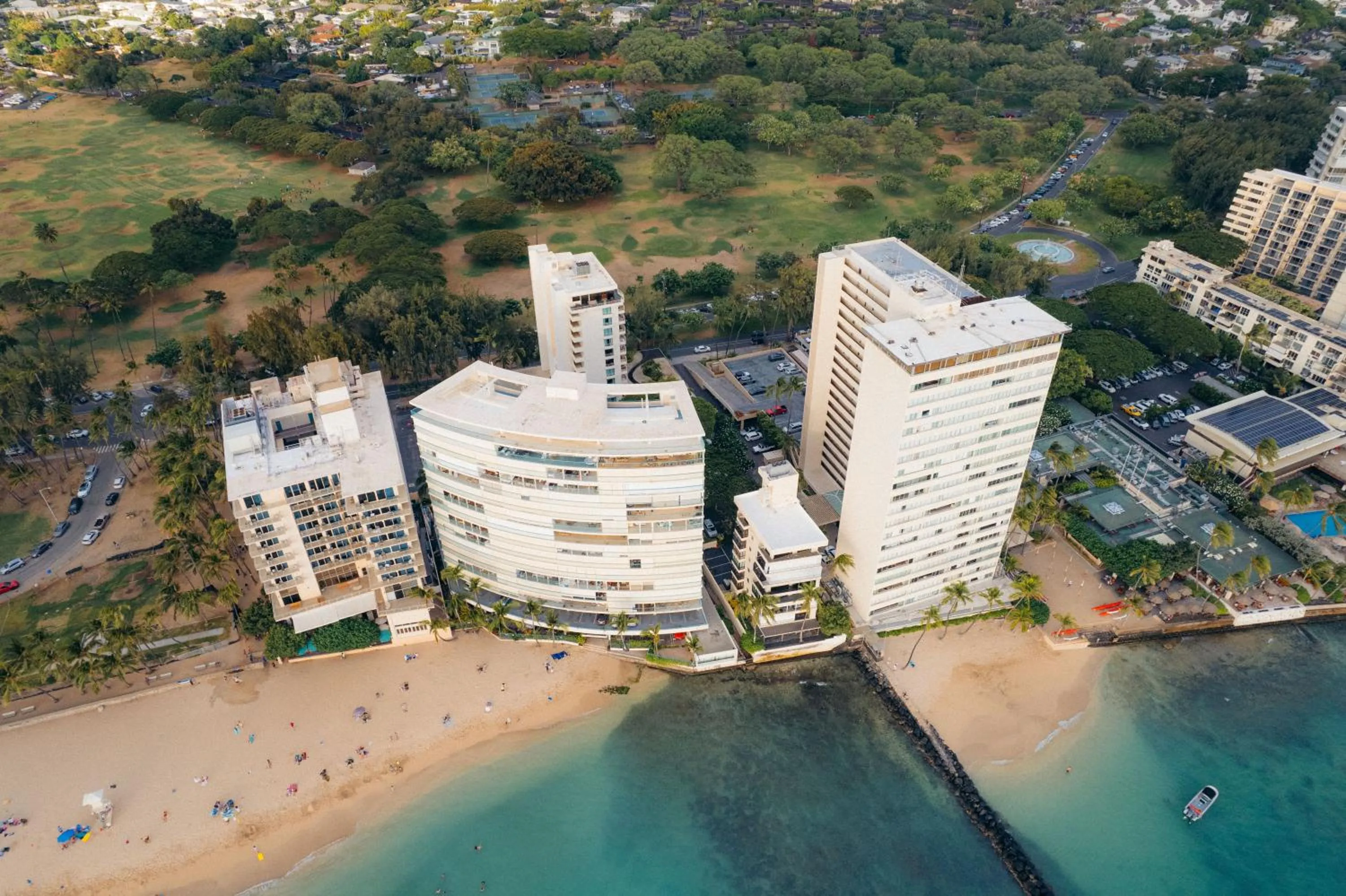 Day in Lotus Honolulu at Diamond Head