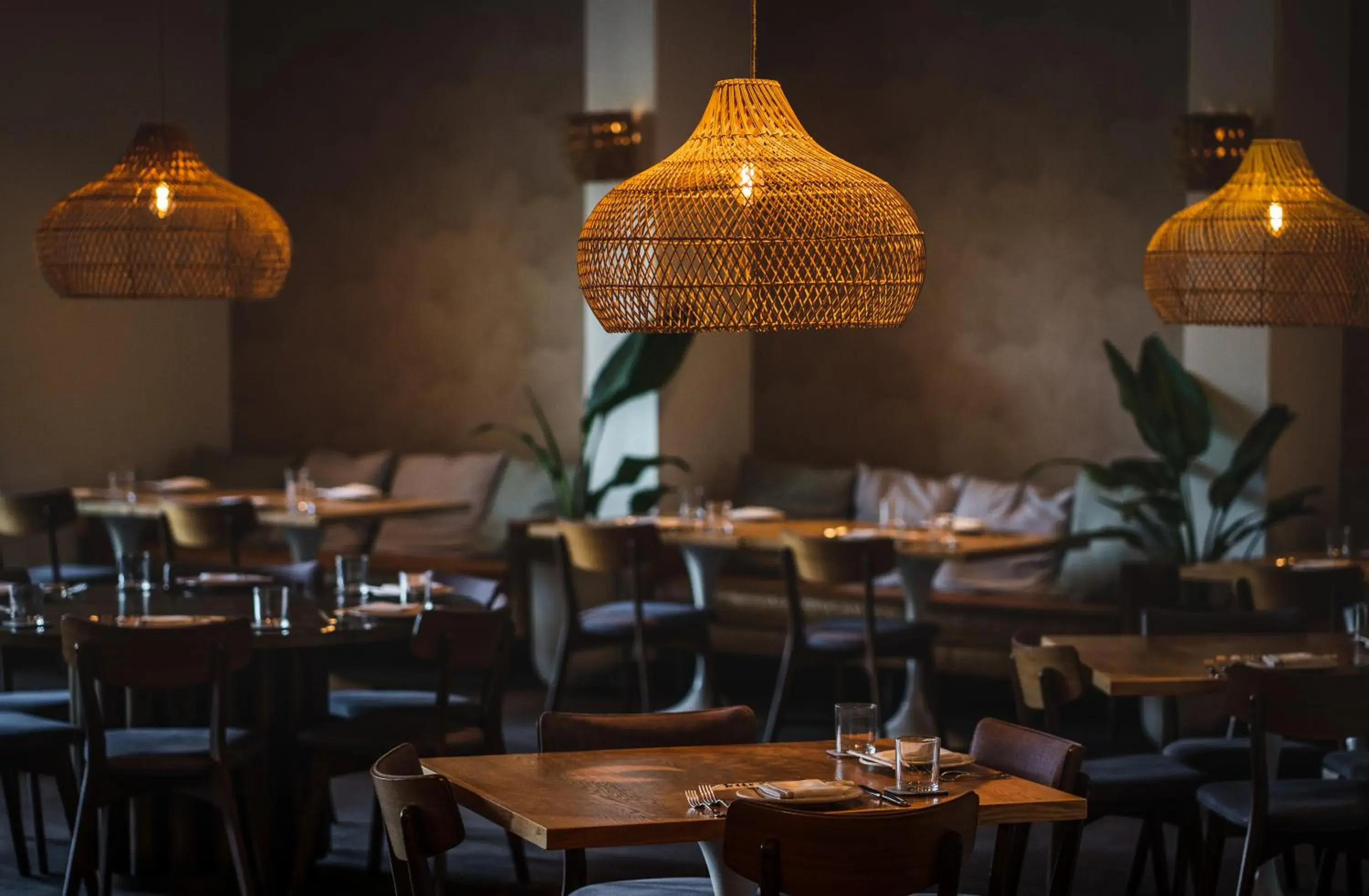 Restaurant/places to eat in Lotus Honolulu at Diamond Head Restaurant/places to eat in Lotus Honolulu at Diamond Head