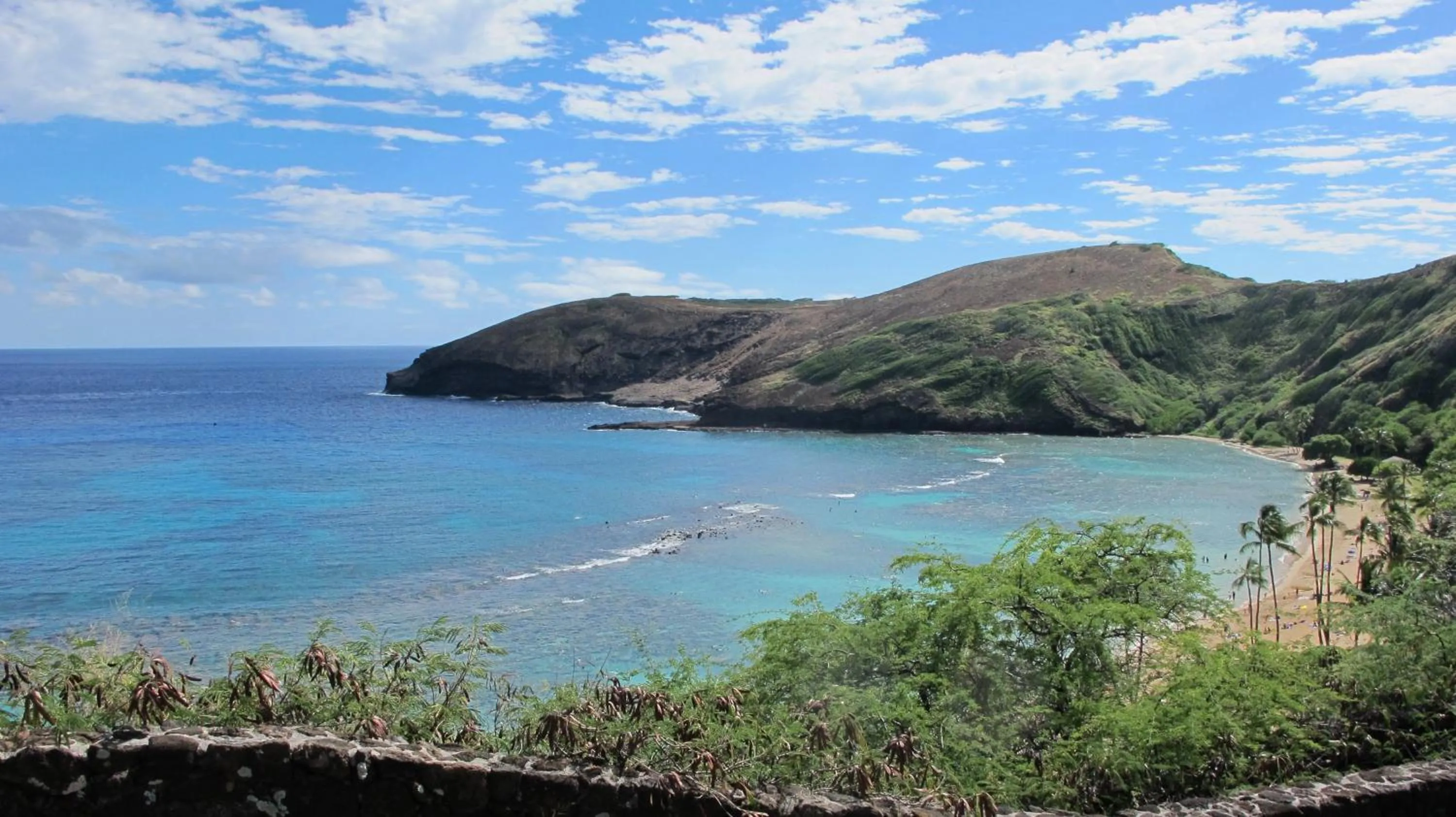 Area and facilities in Holiday Inn Express Waikiki by IHG