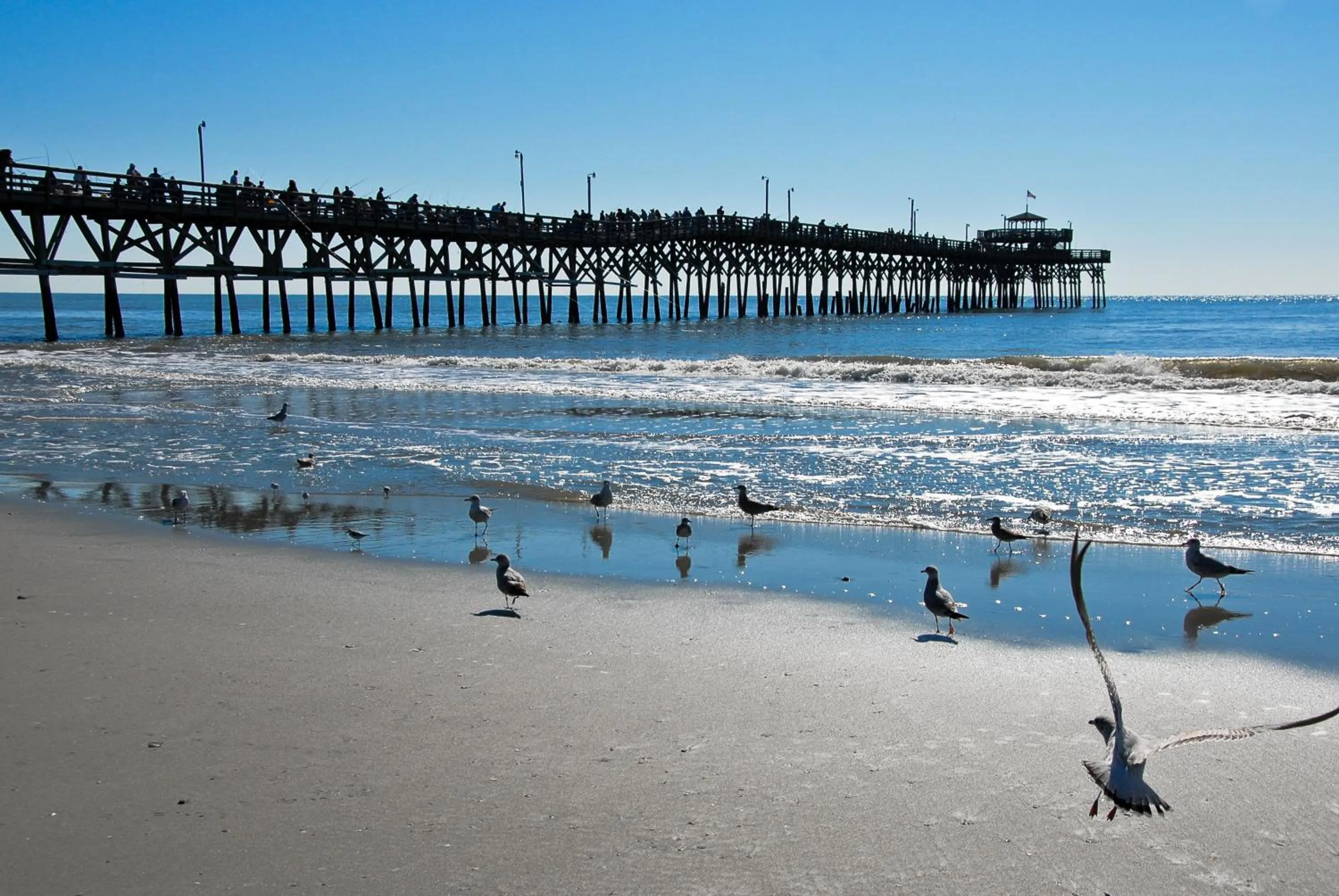 Fishing in Prince Resort