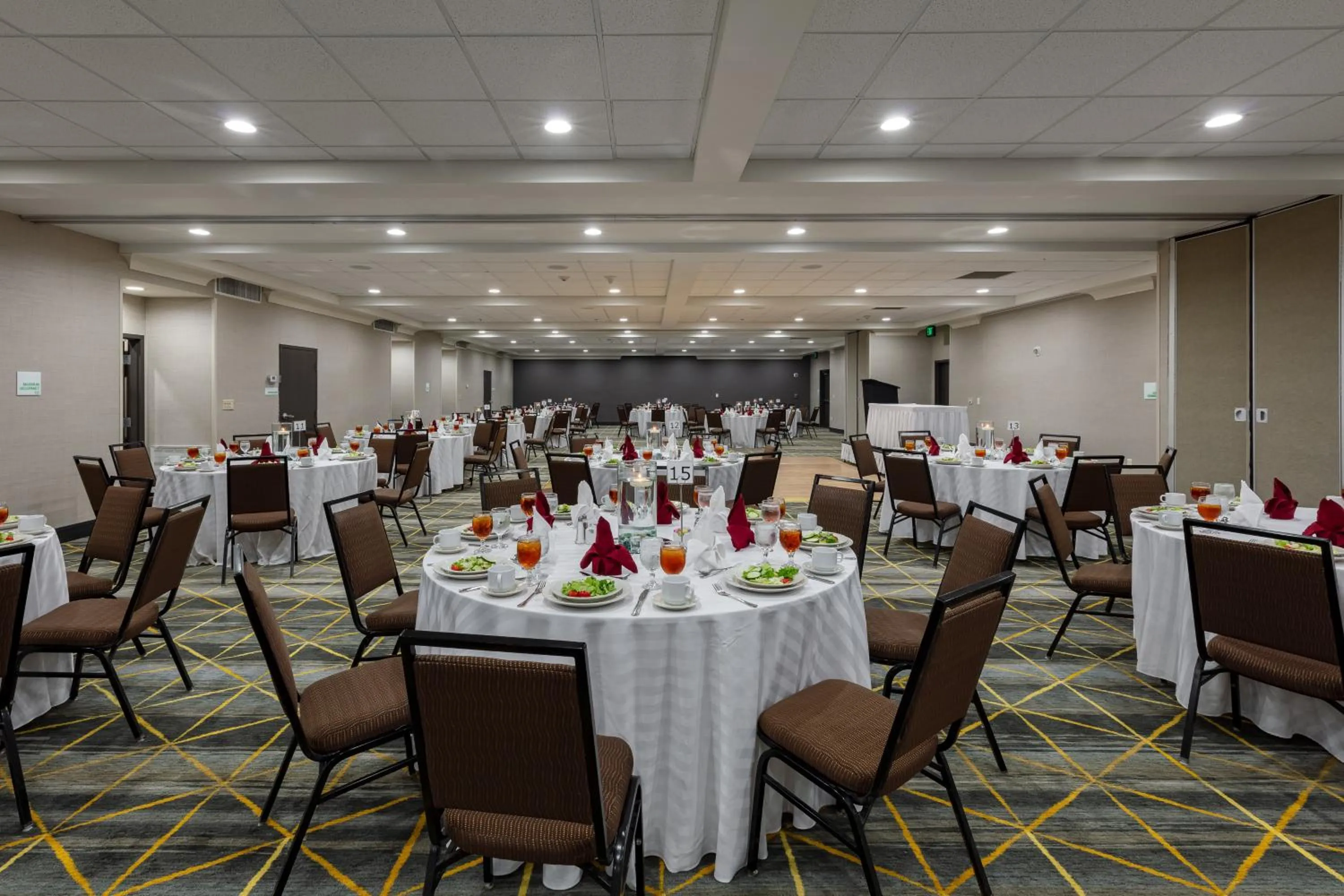 Banquet/Function facilities in Holiday Inn & Suites Atlanta Airport North by IHG