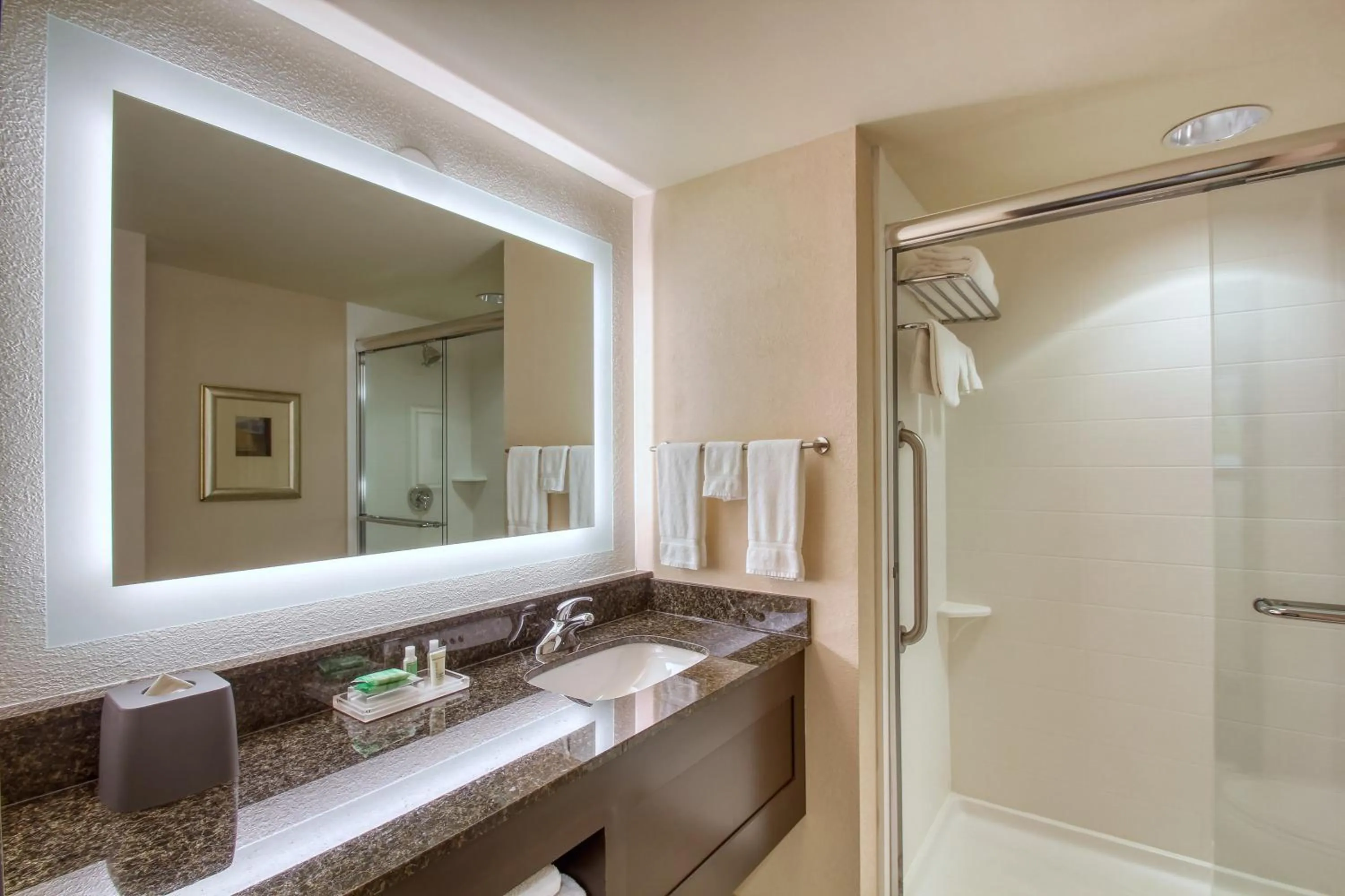 Bathroom in Holiday Inn & Suites Atlanta Airport North by IHG