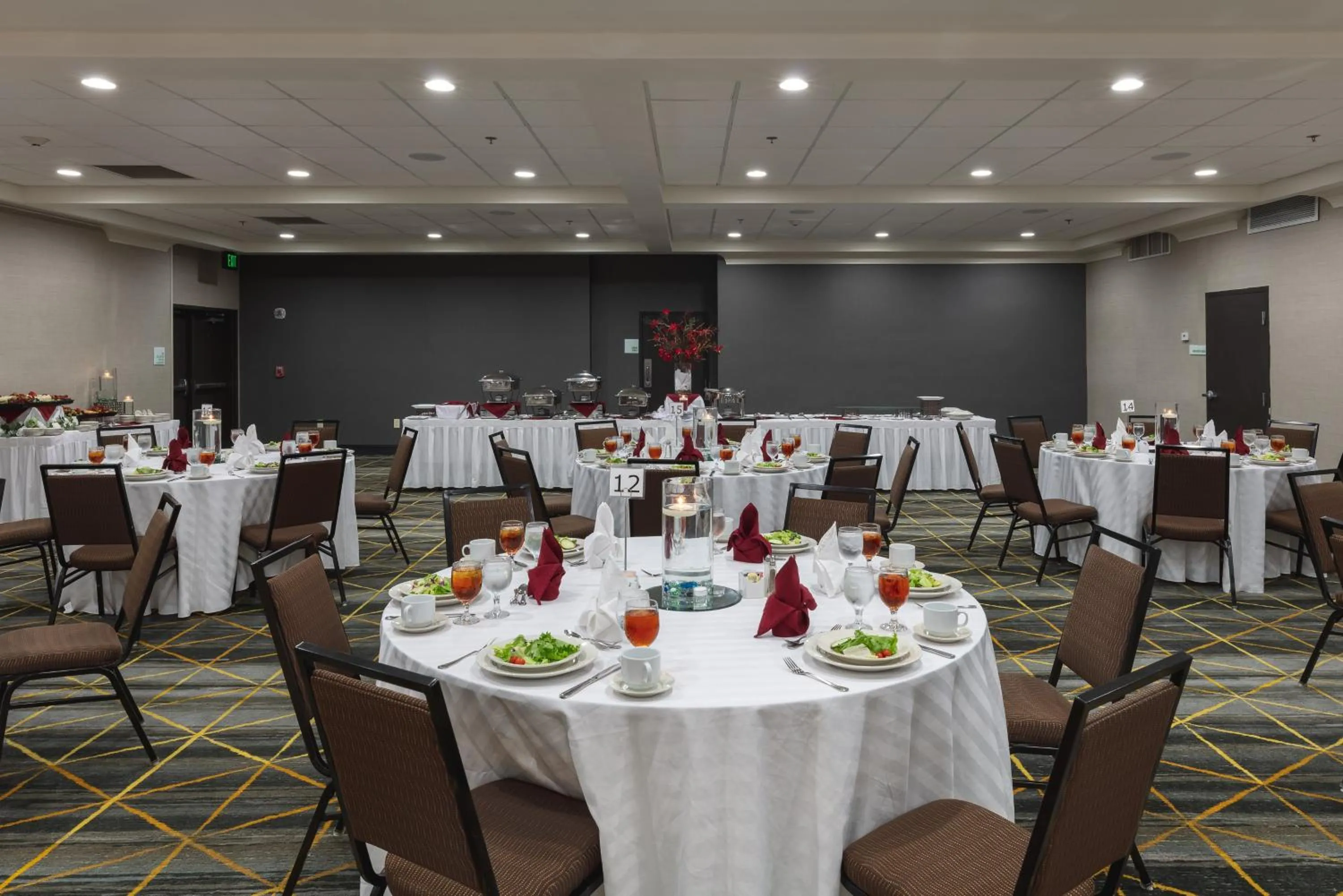 Banquet/Function facilities in Holiday Inn & Suites Atlanta Airport North by IHG