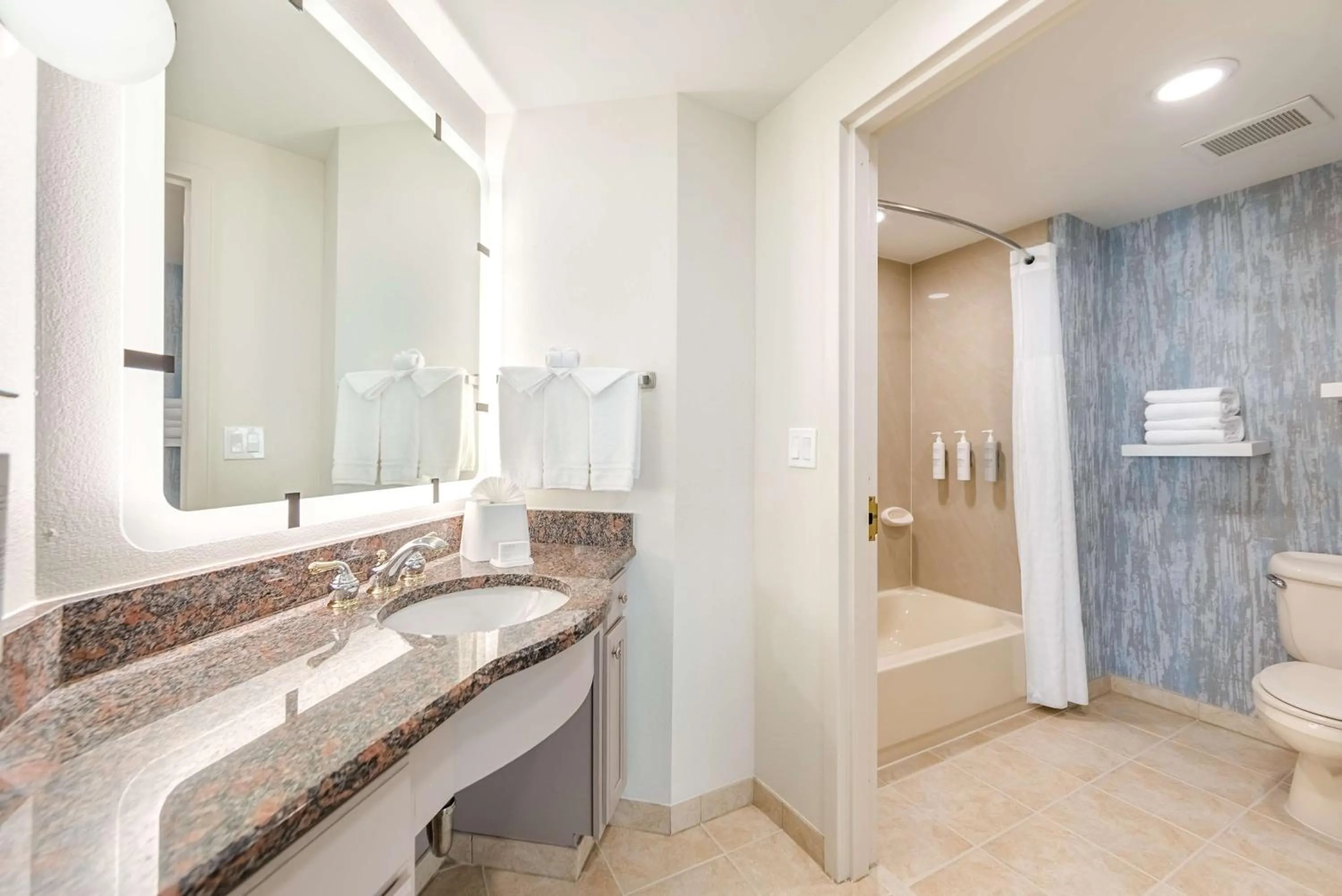 Bathroom in Homewood Suites by Hilton East Rutherford - Meadowlands, NJ