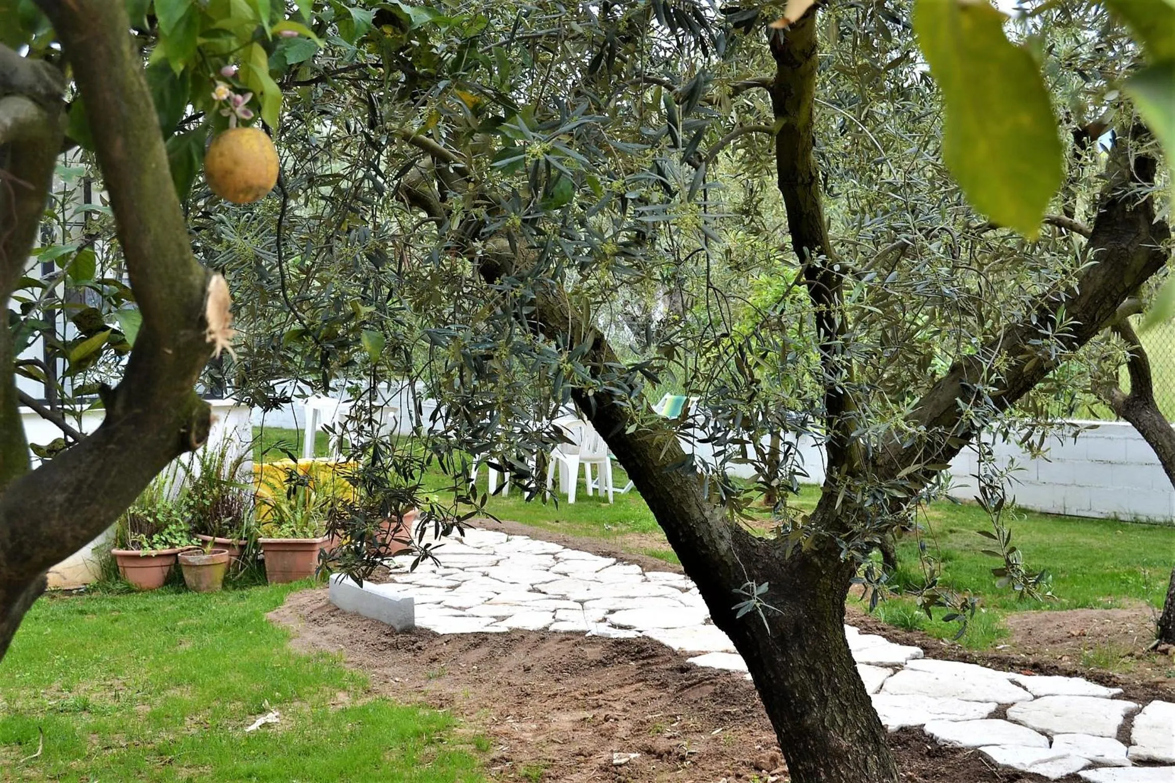 Natural landscape in Il Girasole Formia Guesthouse rooms
