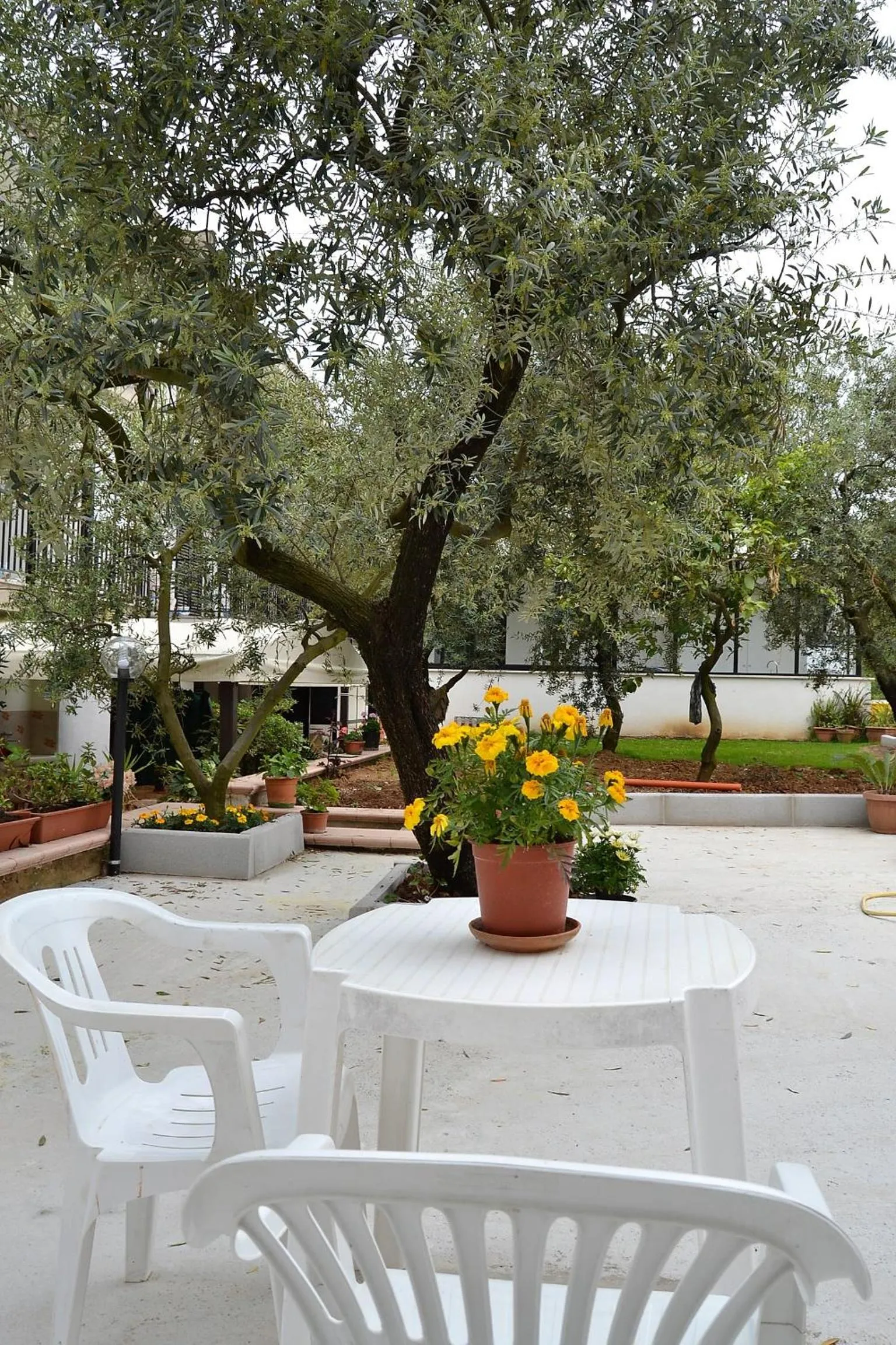 Garden in Il Girasole Formia Guesthouse rooms
