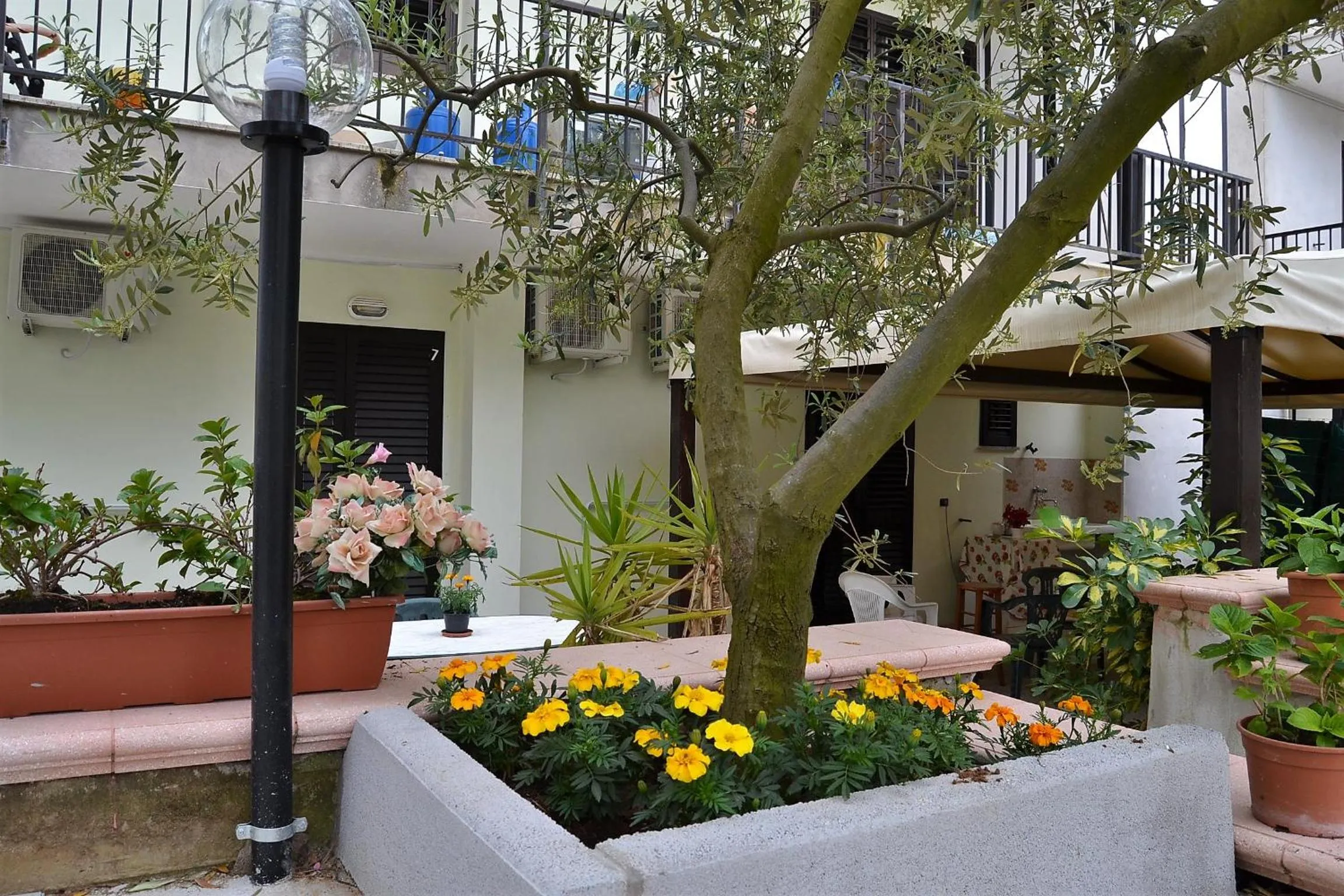 Garden in Il Girasole Formia Guesthouse rooms