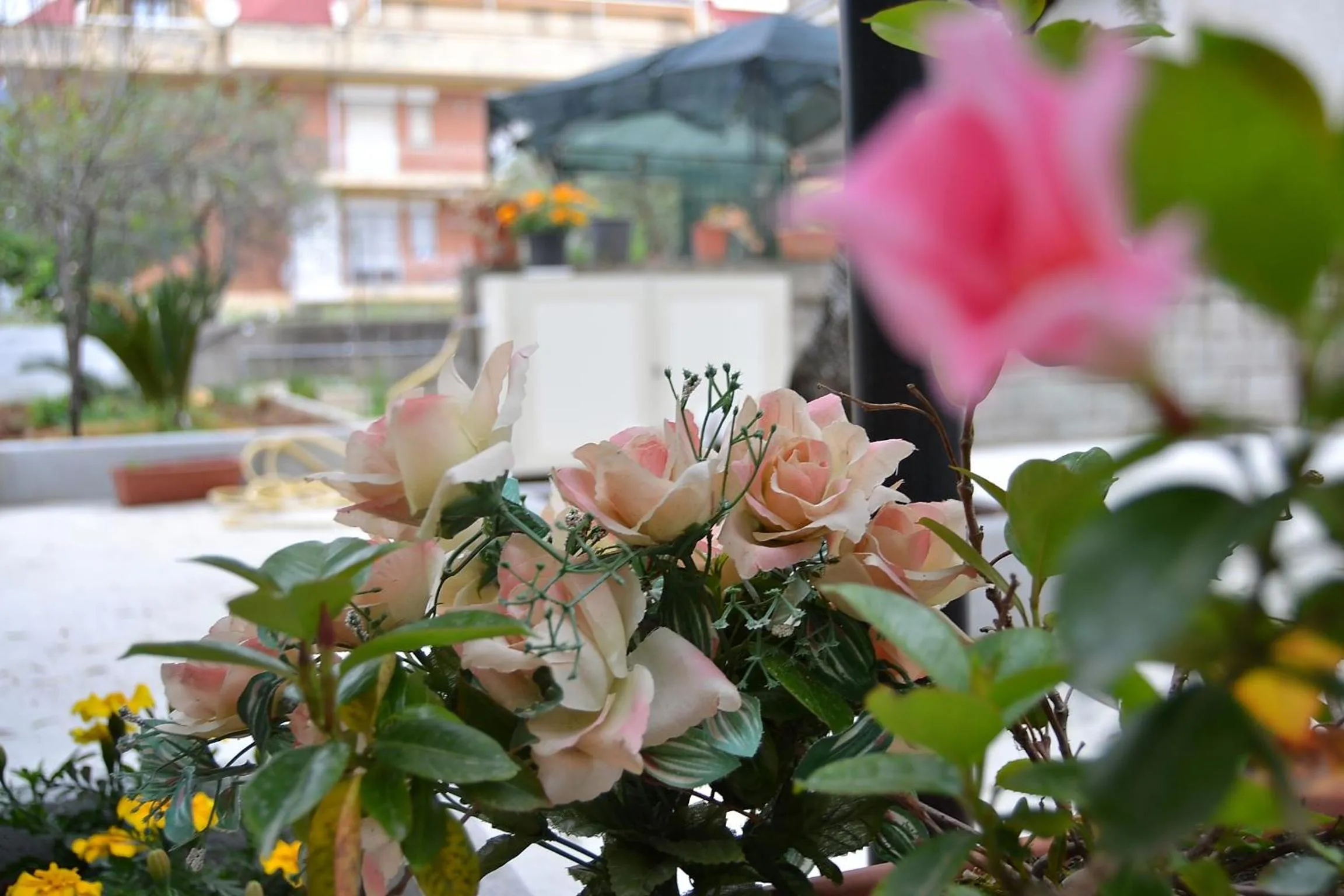 Garden in Il Girasole Formia Guesthouse rooms