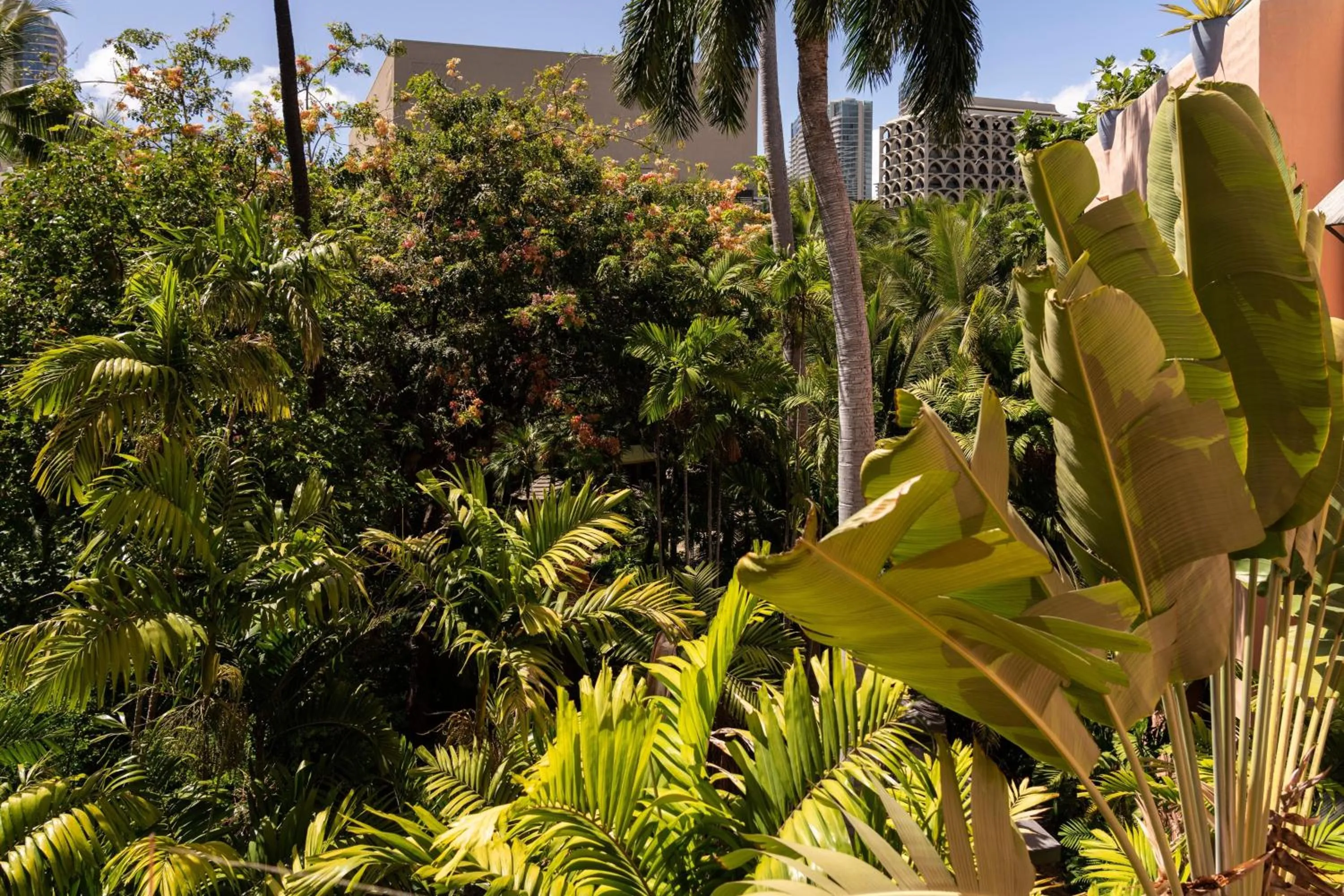 Photo of the whole room in The Royal Hawaiian, A Luxury Collection Resort, Waikiki