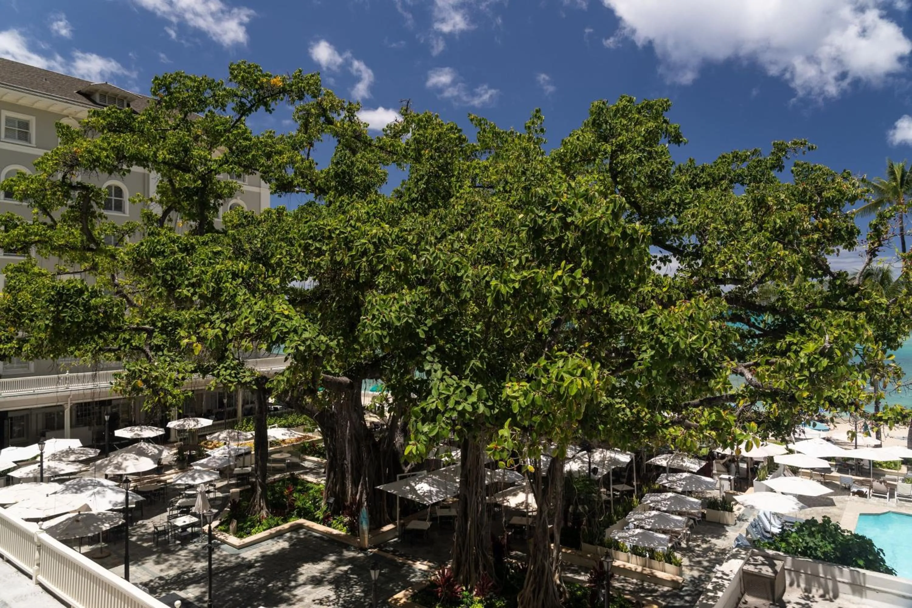 Photo of the whole room in Moana Surfrider, A Westin Resort & Spa, Waikiki Beach