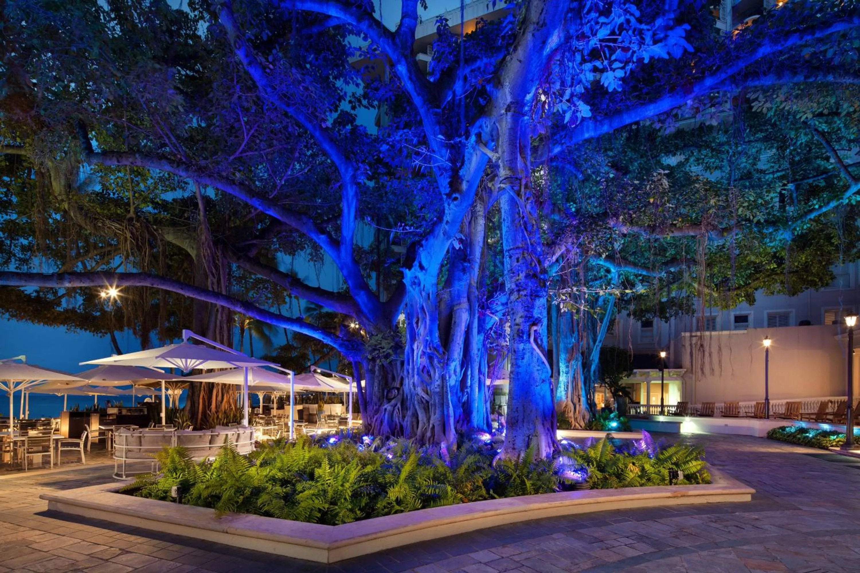 Other in Moana Surfrider, A Westin Resort & Spa, Waikiki Beach