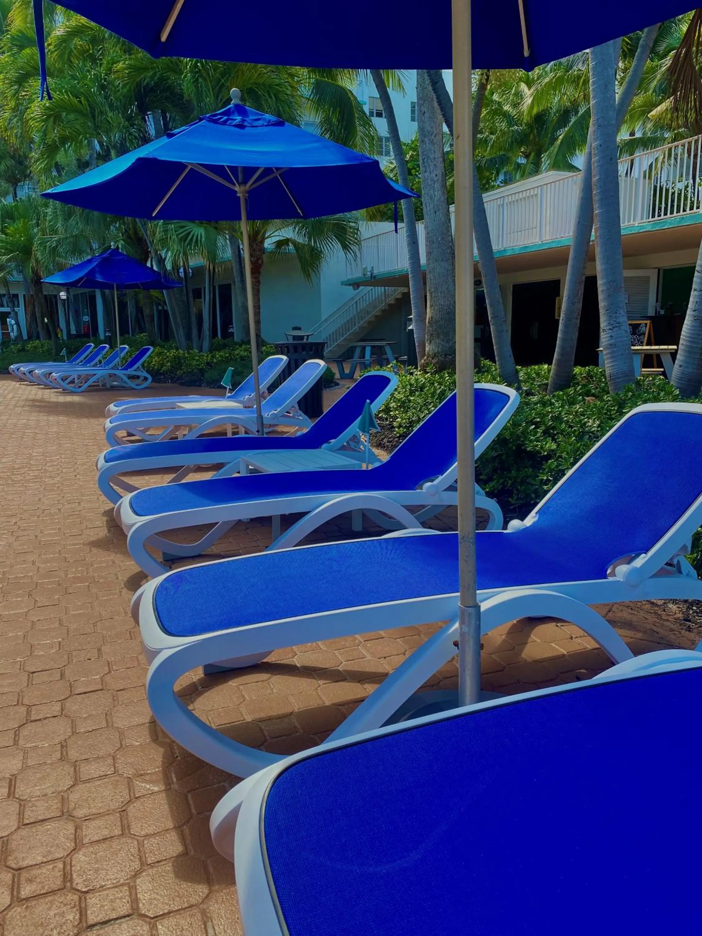 Swimming pool in Radisson Resort Miami Beach