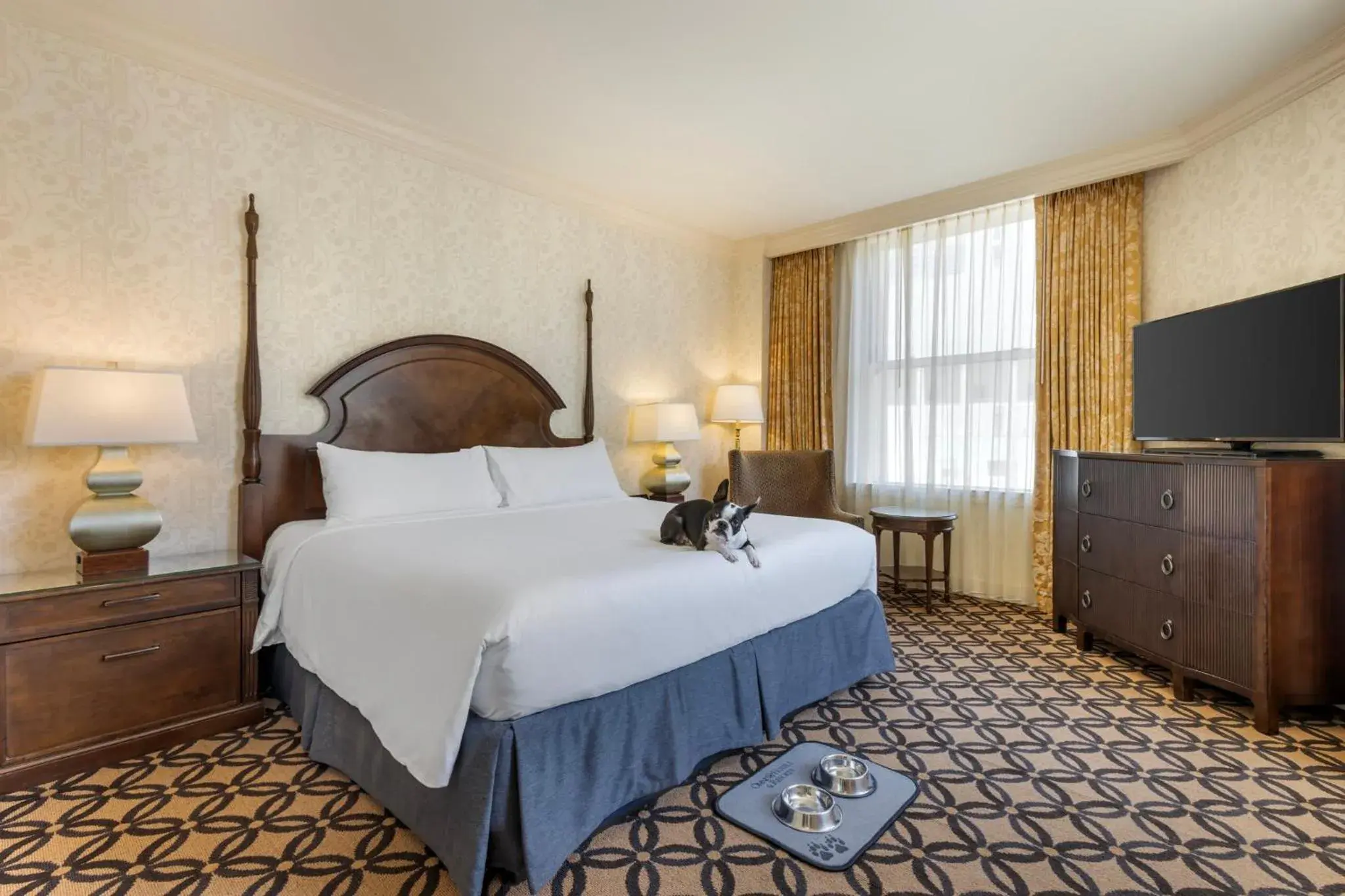 Pets, Bed in Omni San Francisco Pets, Bed in Omni San Francisco