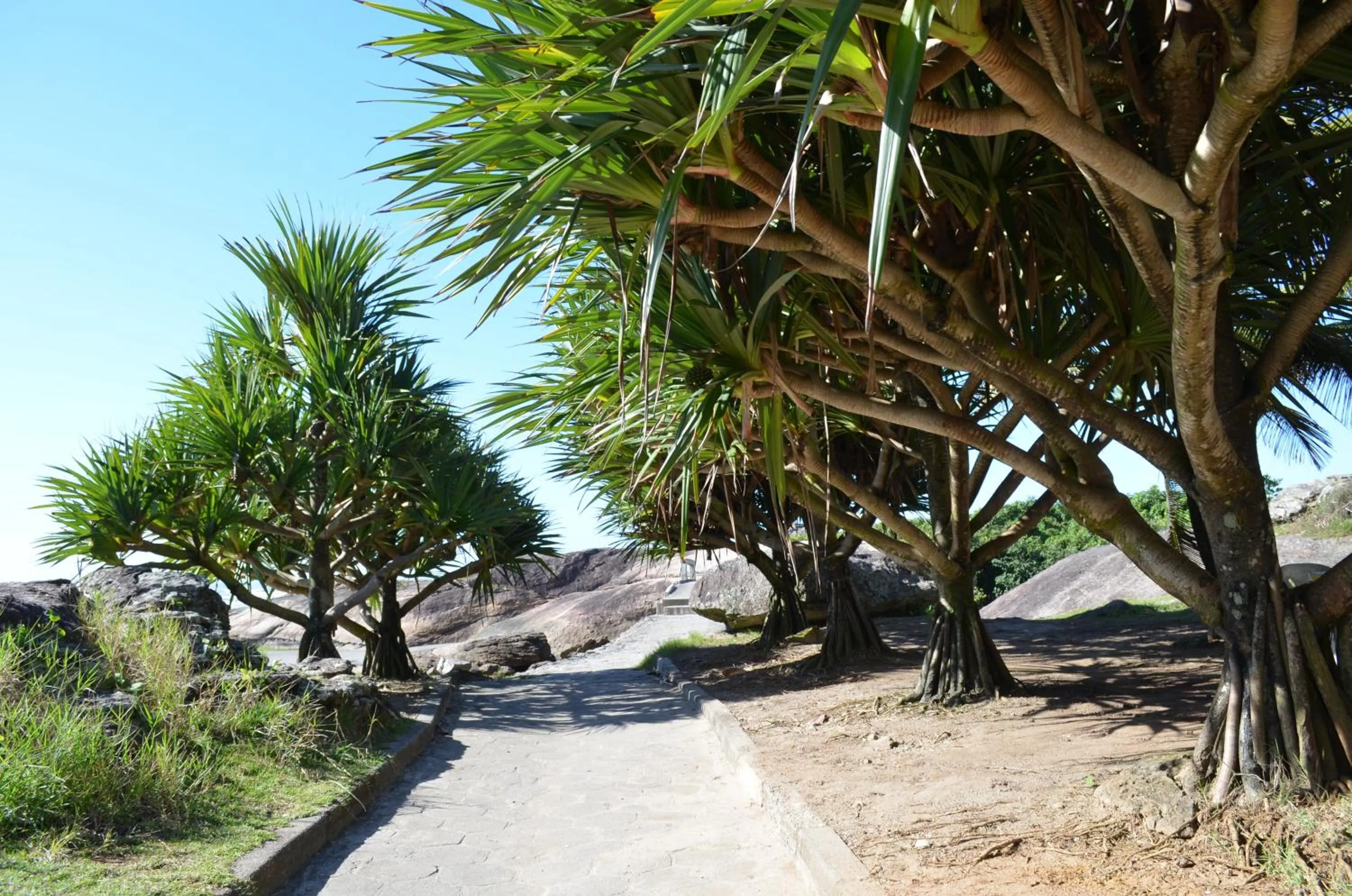 Natural landscape in Pousada/Flat Praia Do Sonho