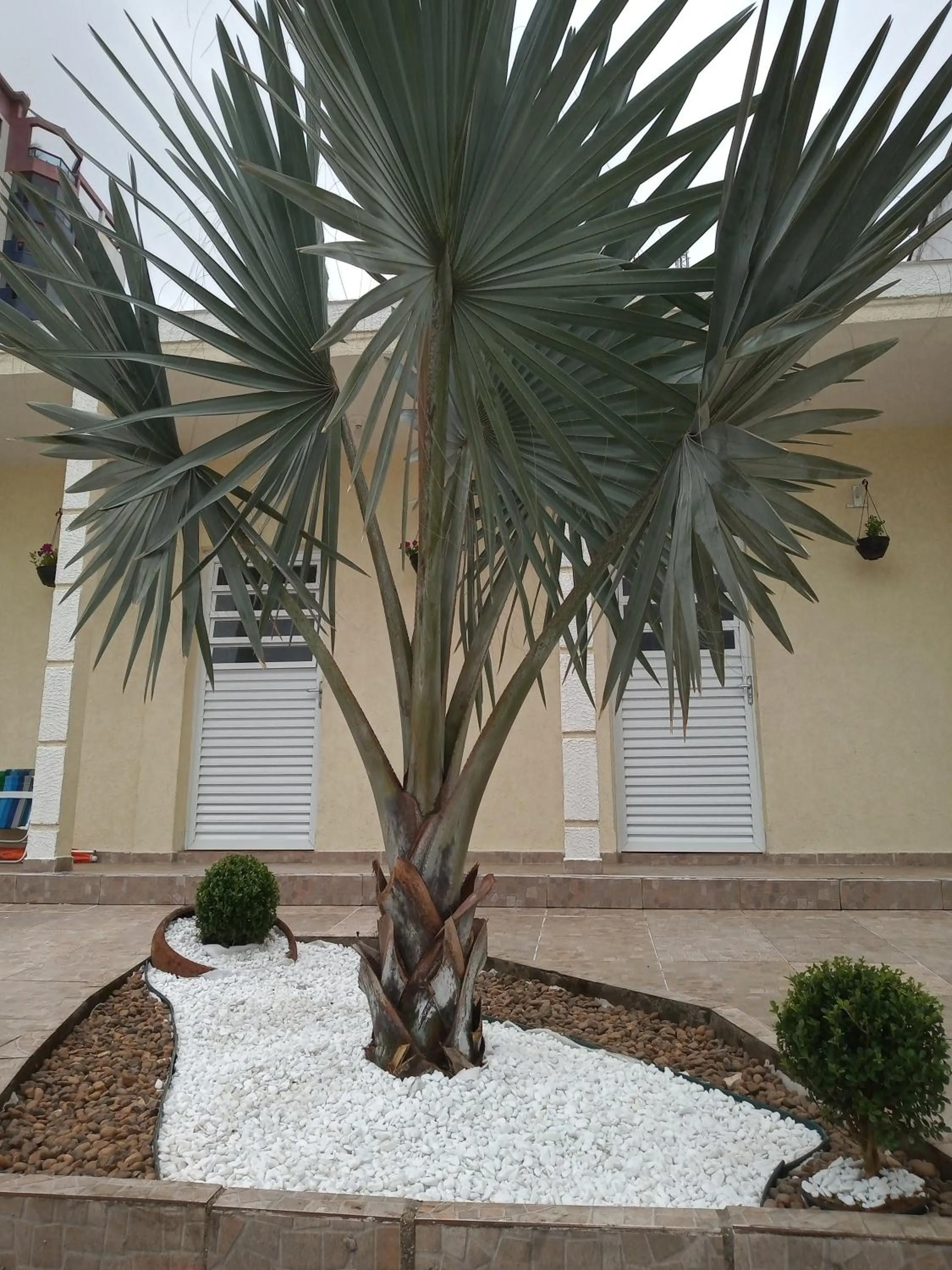 Garden view in Pousada/Flat Praia Do Sonho