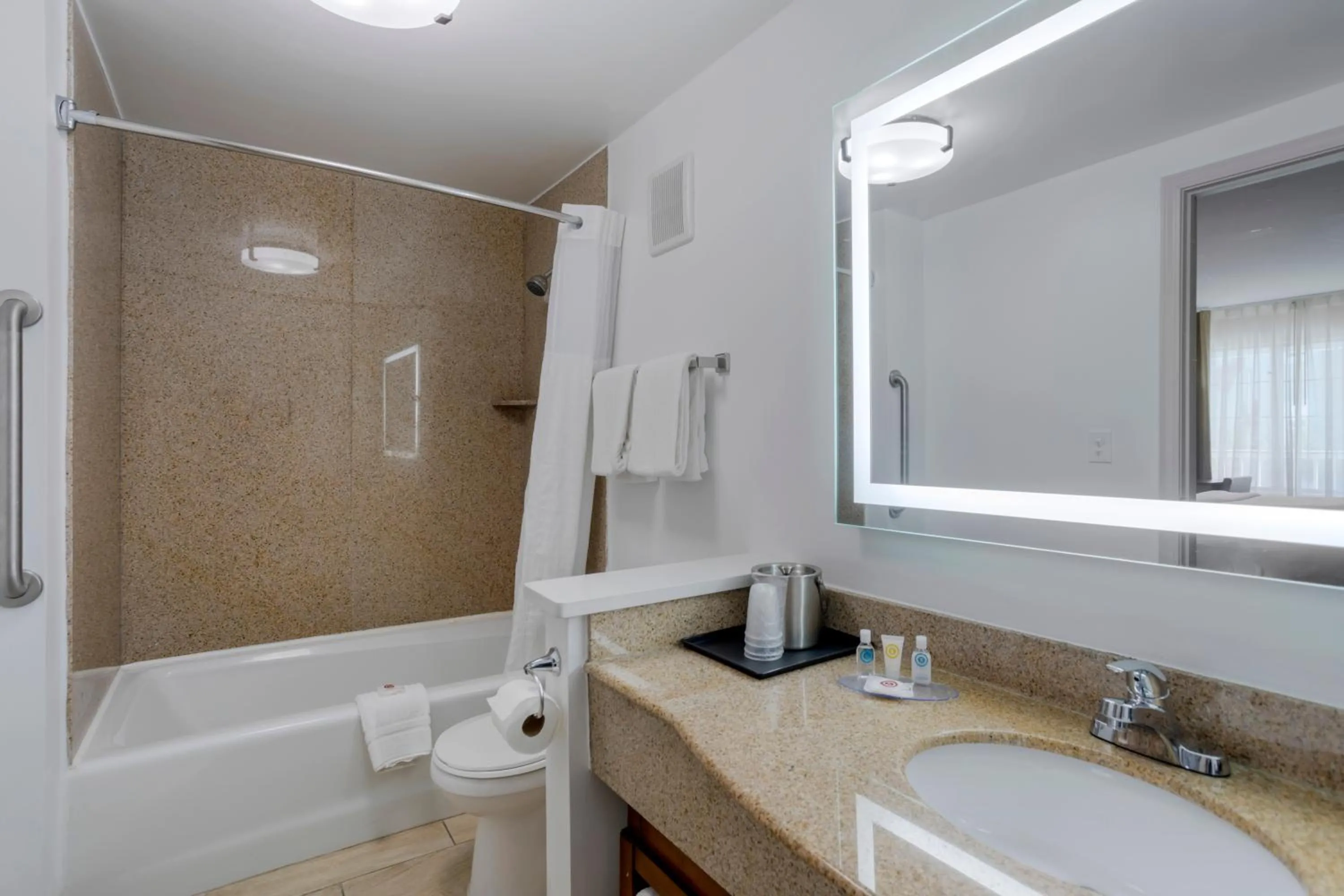 Bathroom in Comfort Inn Downtown Nashville - Music City Center