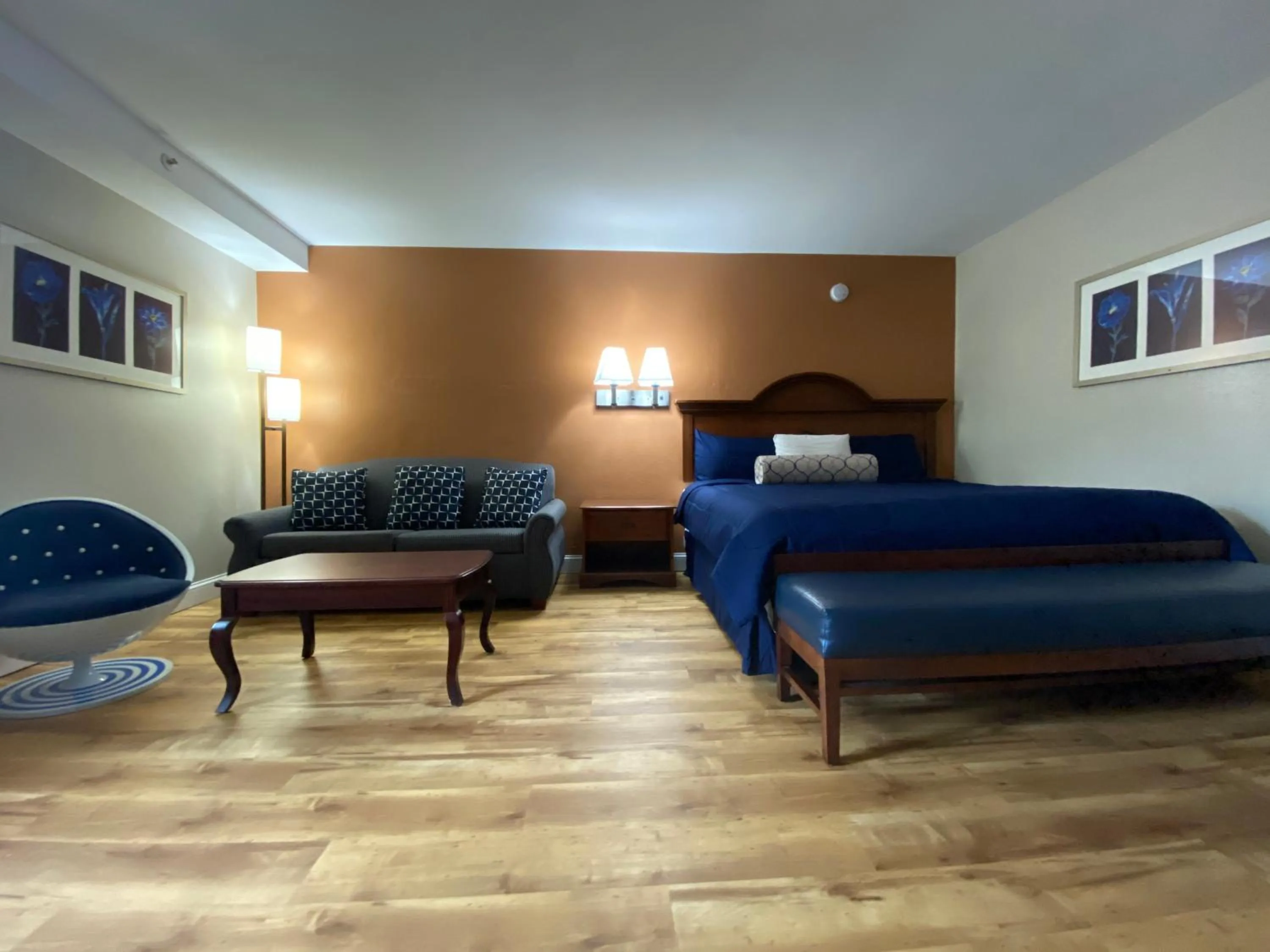 Photo of the whole room in Orbits Inn