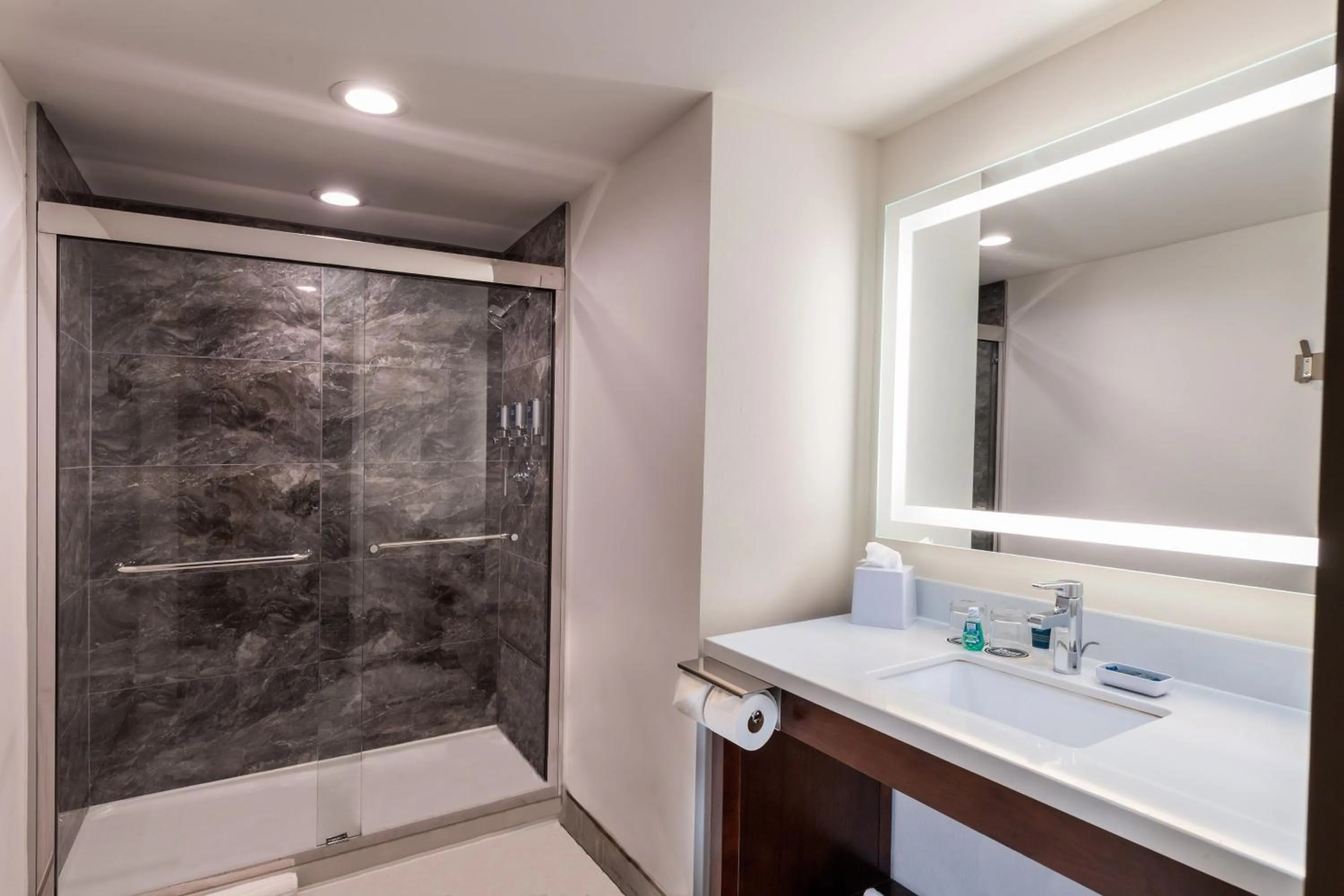 Bathroom in Four Points by Sheraton Atlanta Airport West