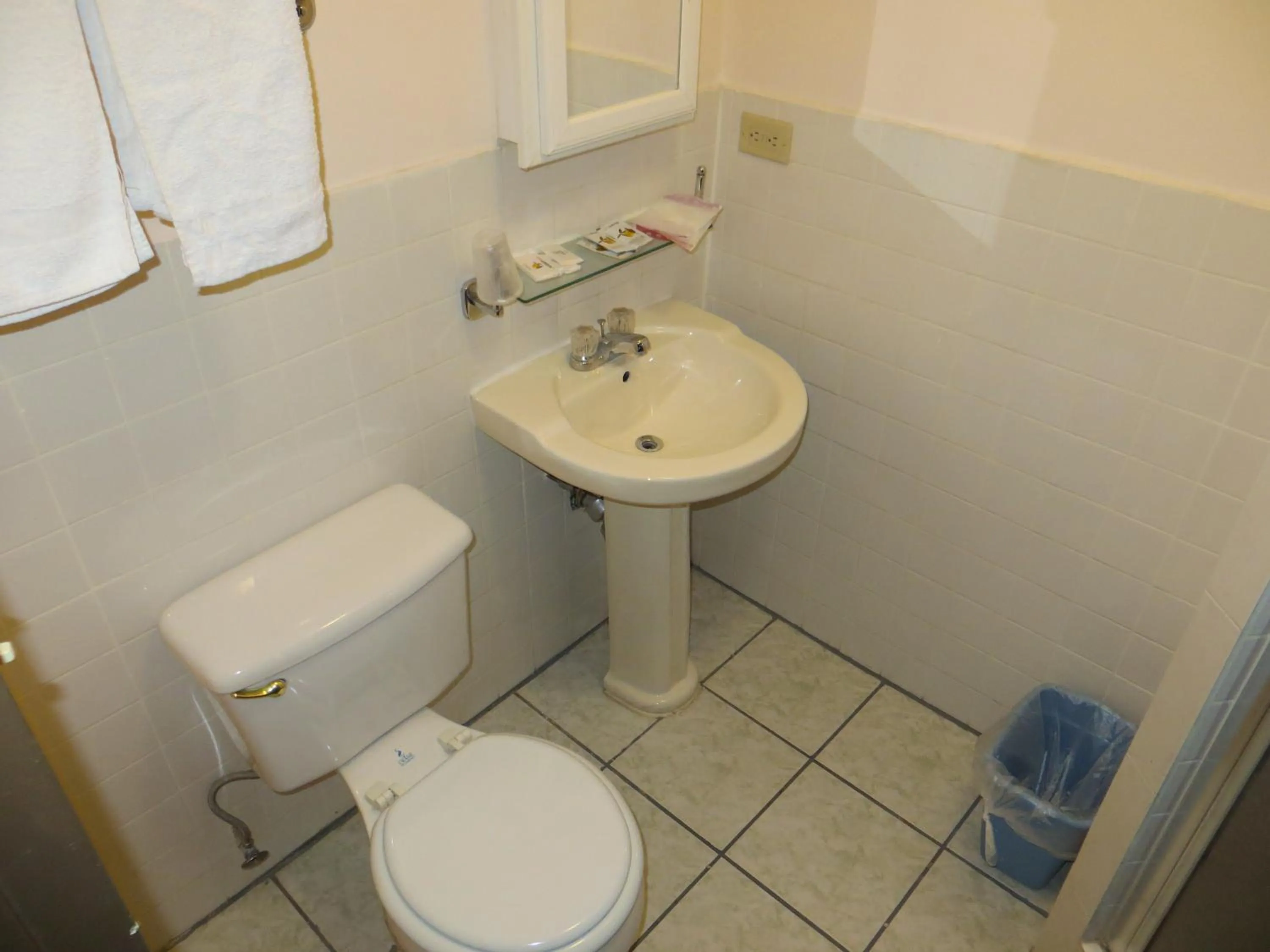 Bathroom in Chinatown Hotel Chicago