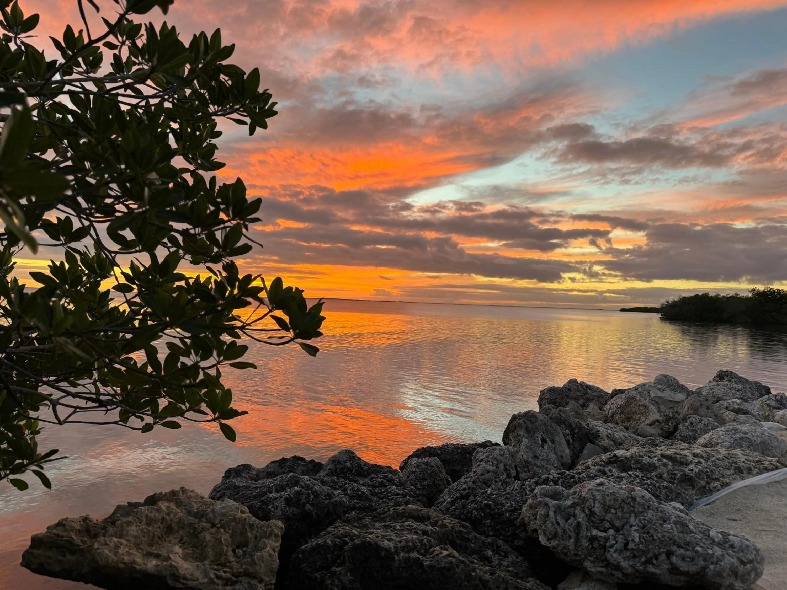 Natural landscape in Gilbert's Resort