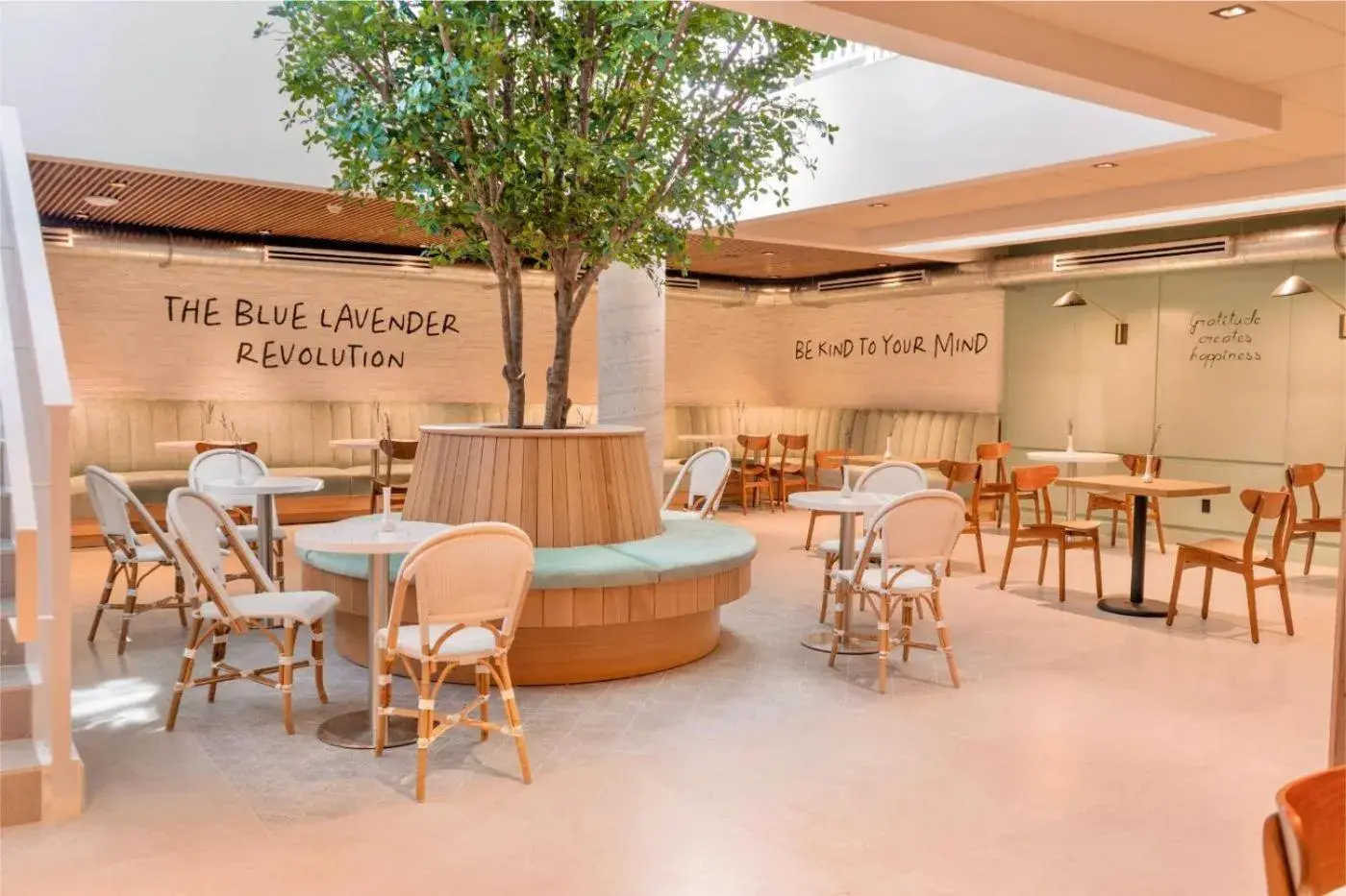 Restaurant/places to eat in Nassau Suite South Beach, an All Suite Hotel Restaurant/places to eat in Nassau Suite South Beach, an All Suite Hotel