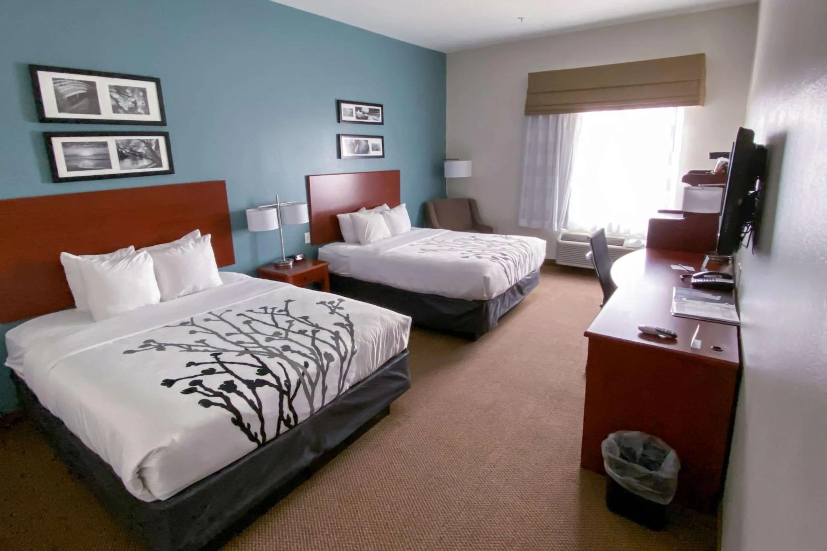 Photo of the whole room, Bed in Sleep Inn & Suites Pearland - Houston South