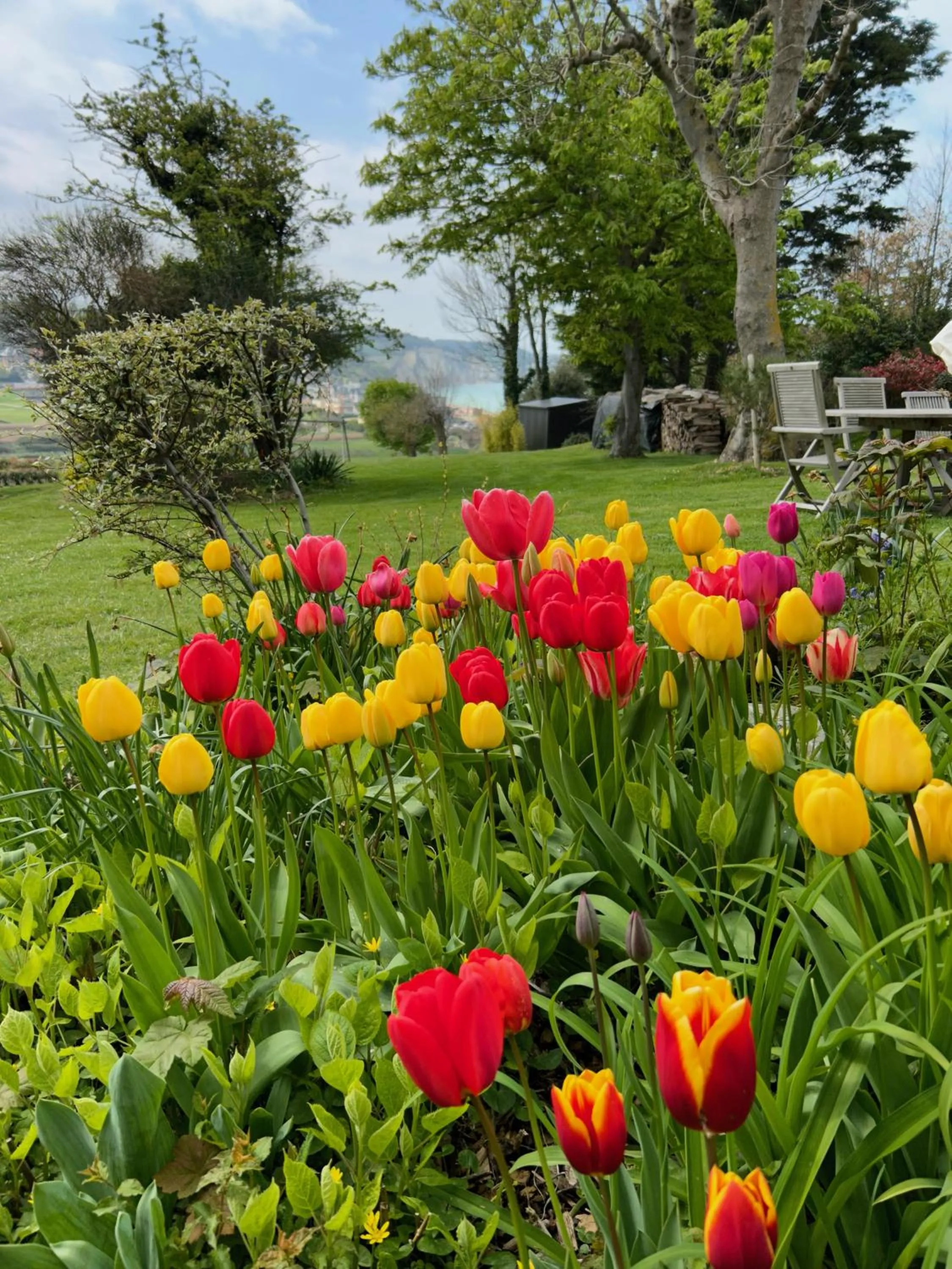 Garden in The Old Fenwick House