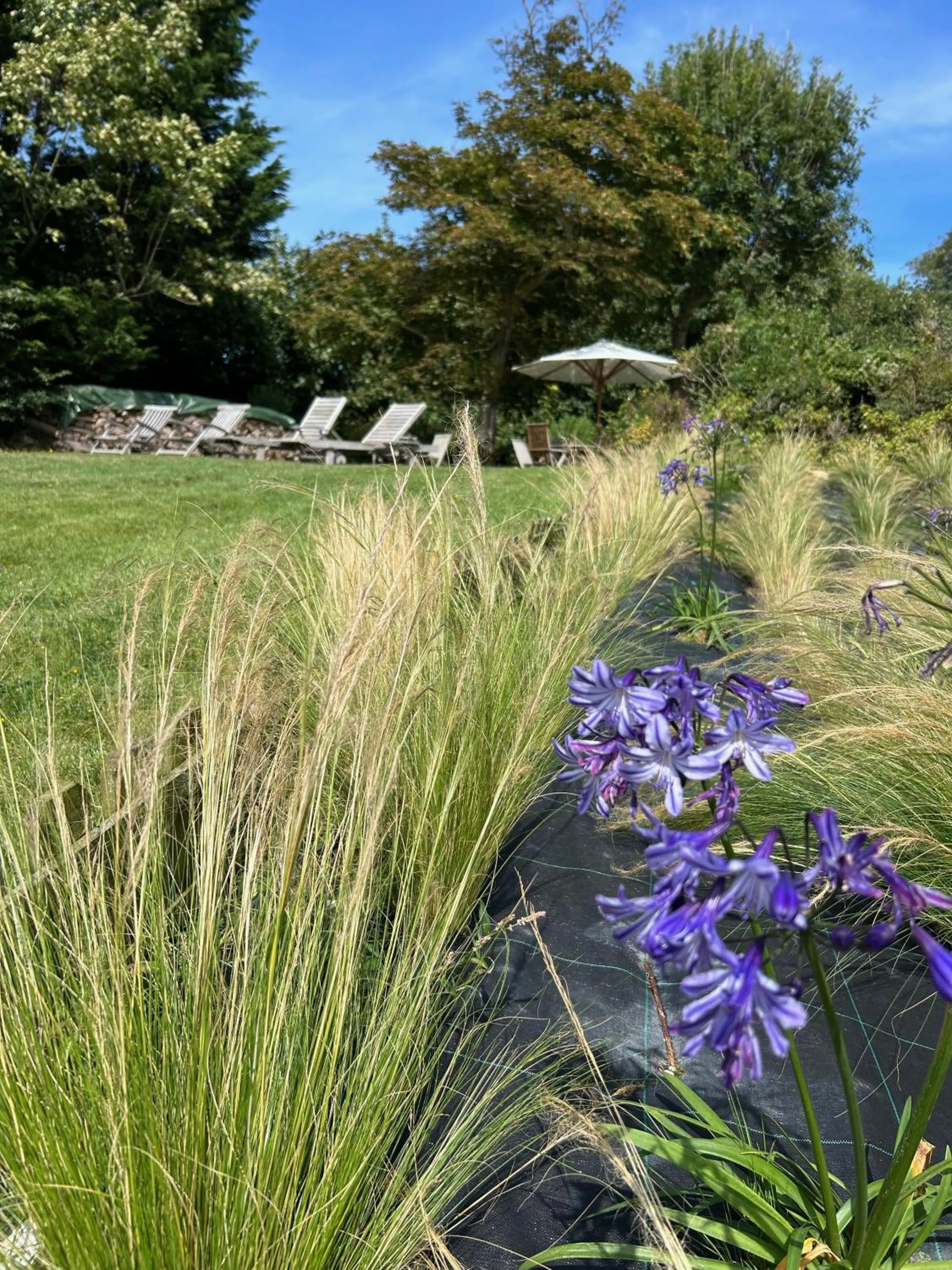 Garden in The Old Fenwick House