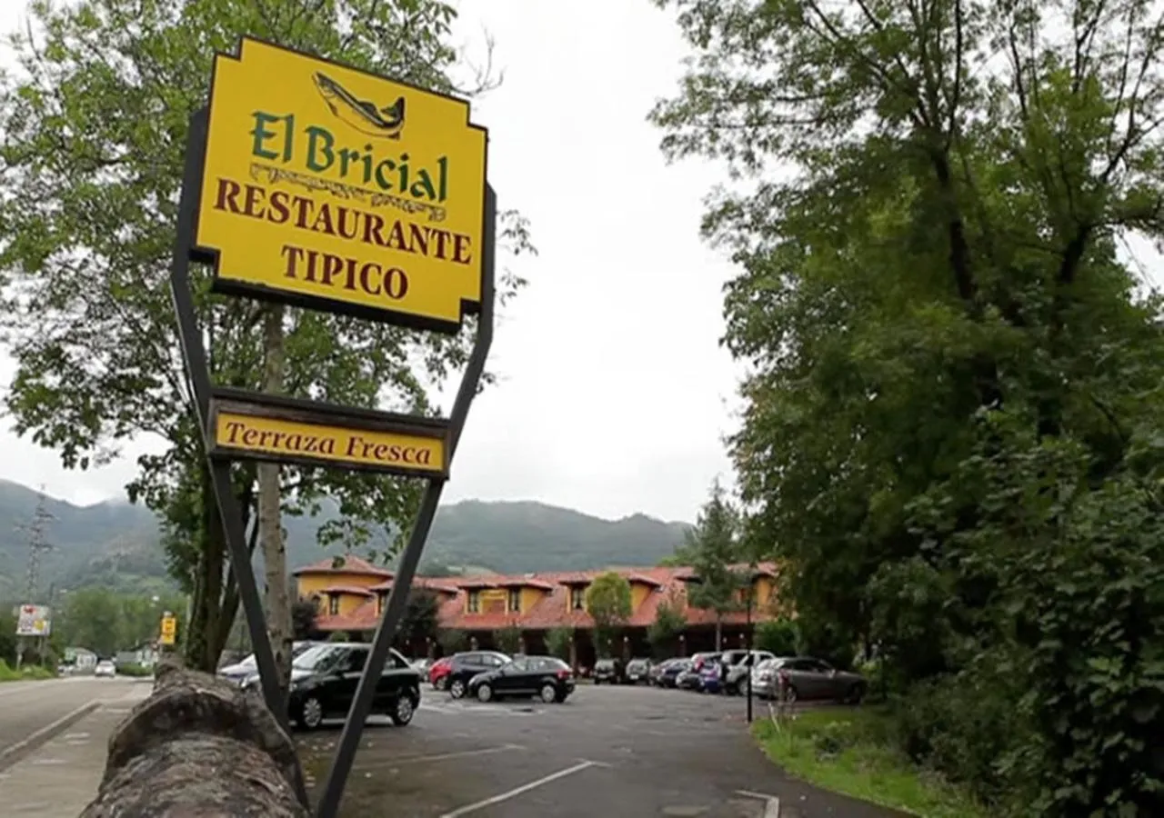 Restaurant/places to eat in Hotel El Bricial