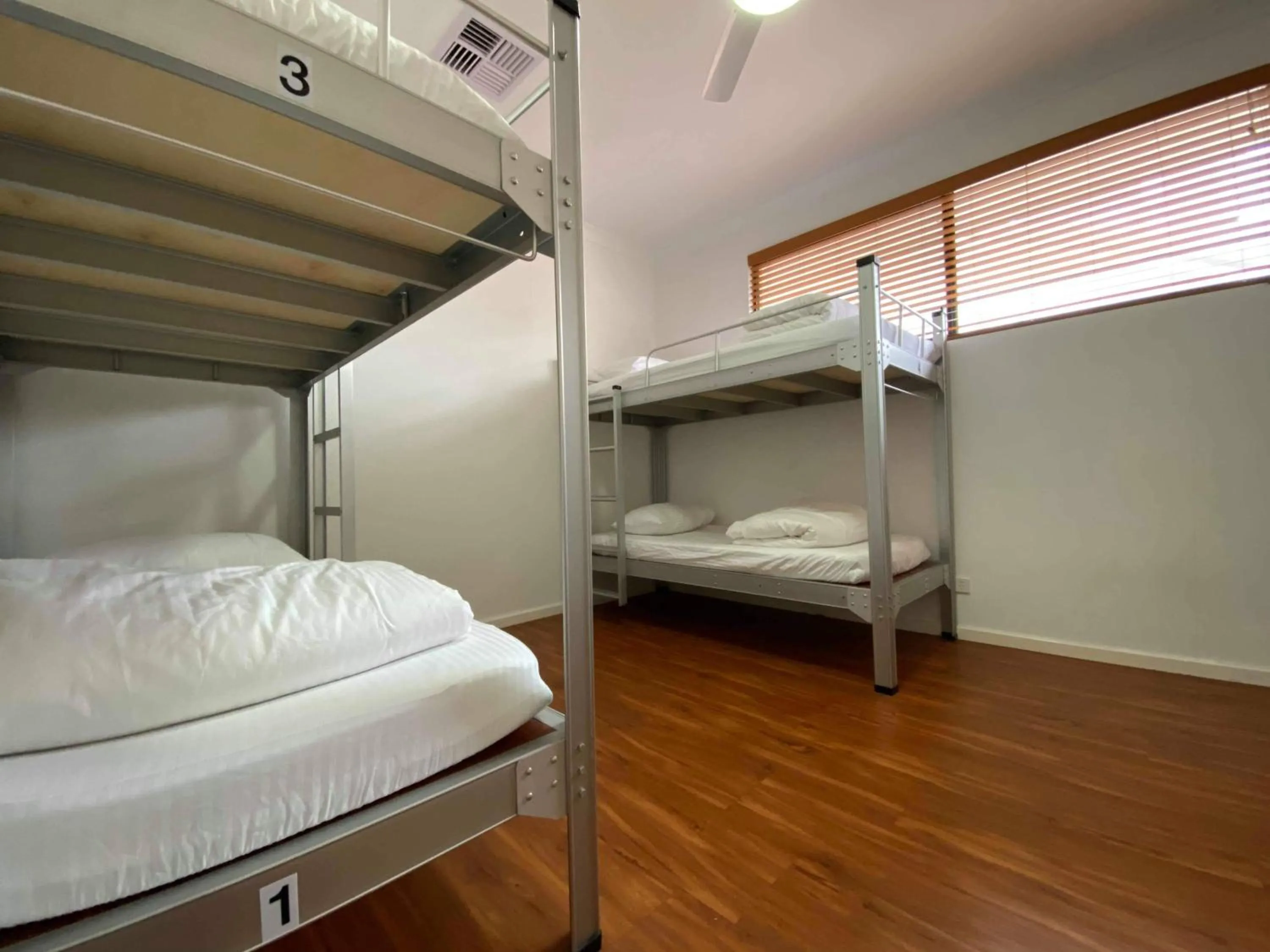 bunk bed, Bed in Downtown Backpackers Hostel Perth - note - Valid Passport required for check in