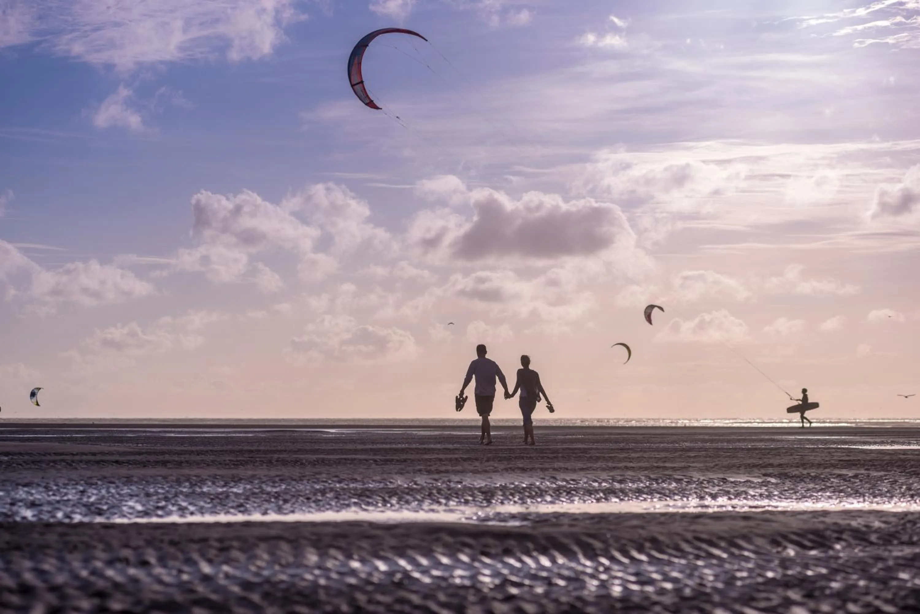 Natural landscape in Domaine de Diane