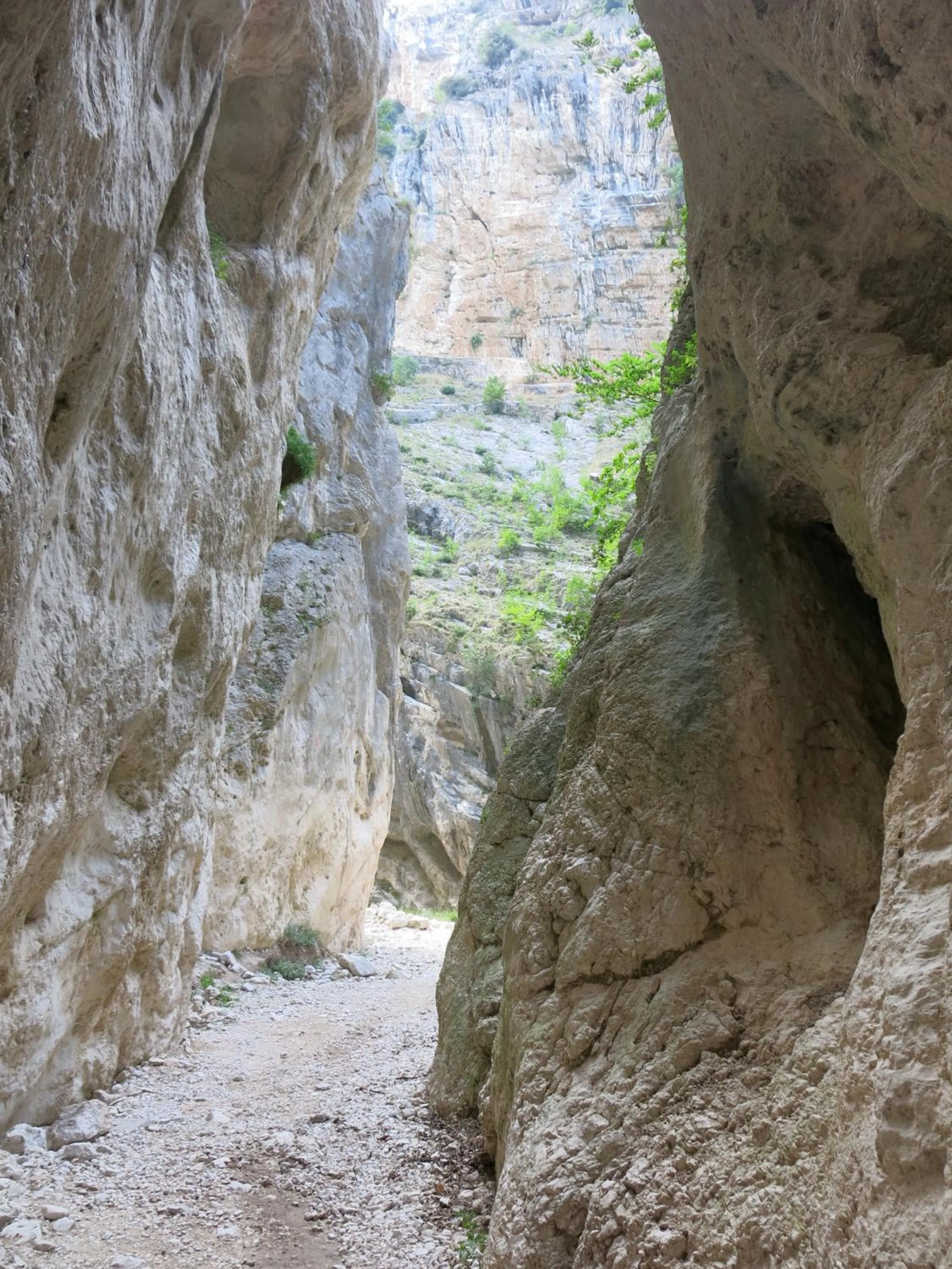 Natural landscape in Da Oreste Affittacamere