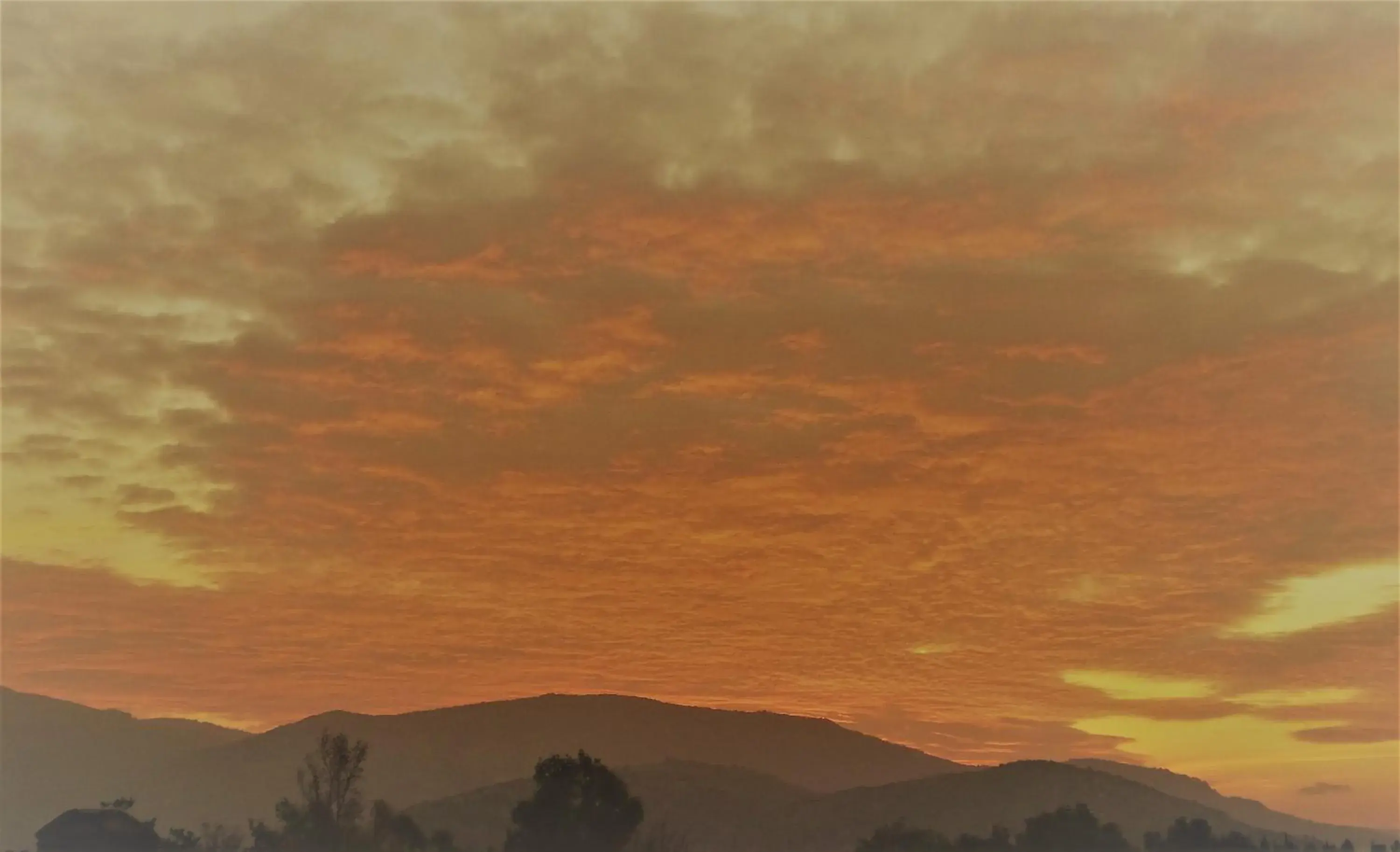 View (from property/room) in Ephesus Palace View (from property/room) in Ephesus Palace
