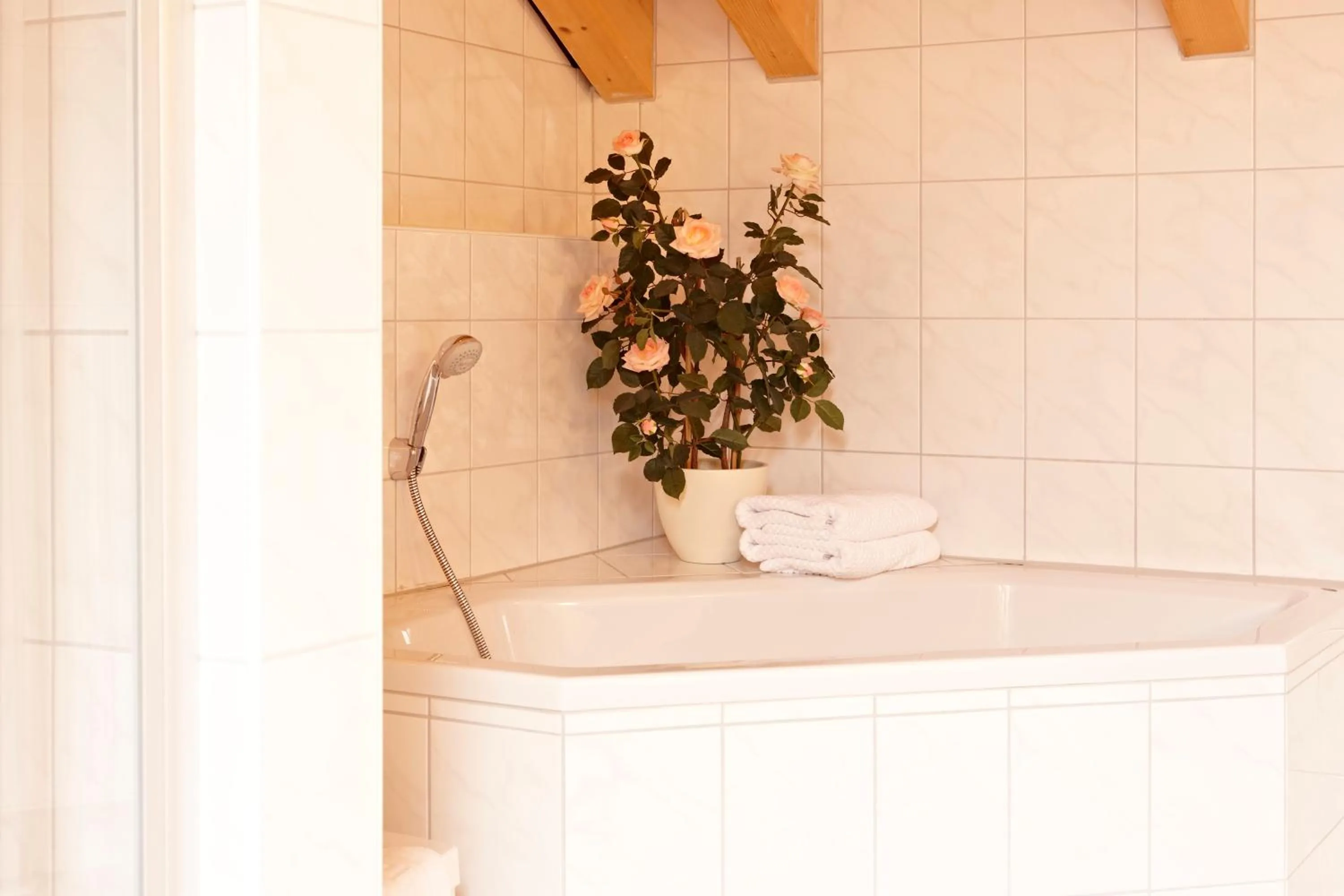 Bathroom in Hotel Schatten