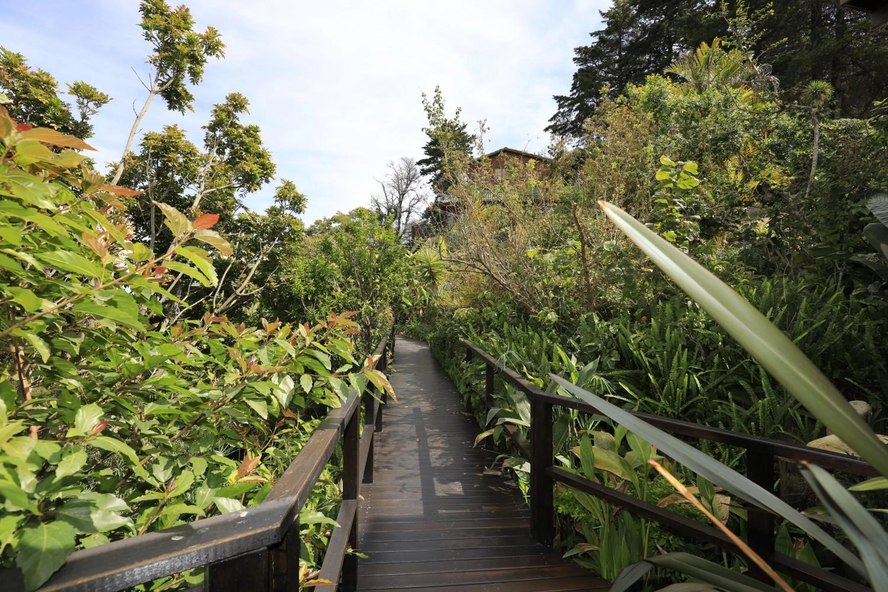 Garden view in Big Tree House Lodge