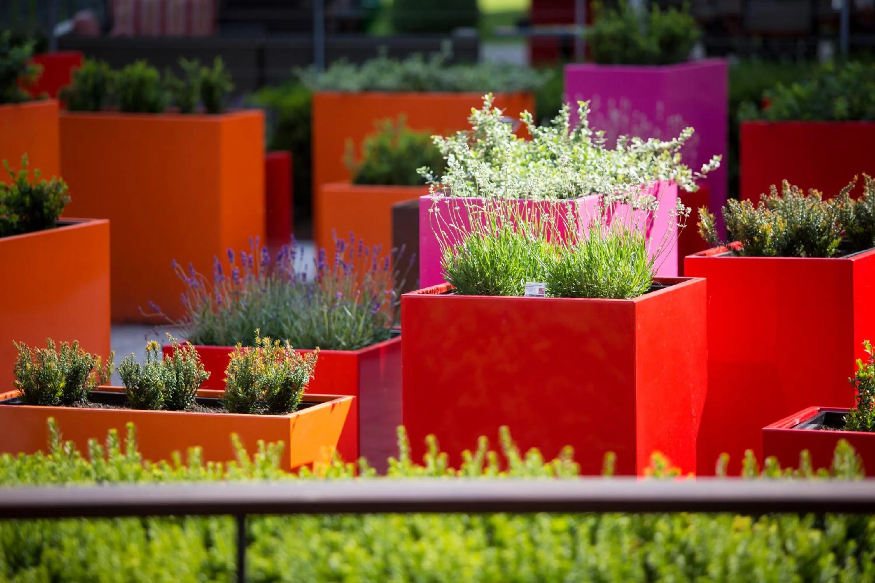 Balcony/Terrace in LAGO hotel & restaurant am see