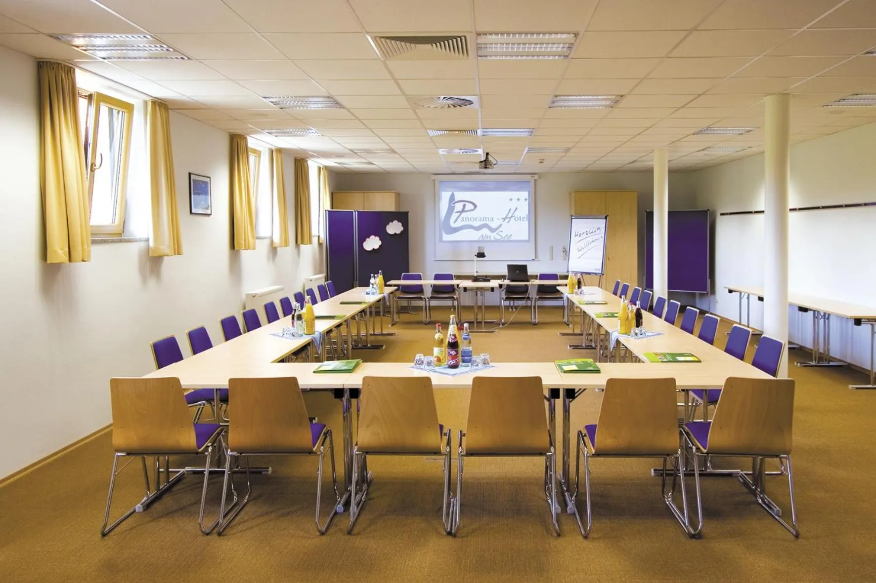 Meeting/conference room in Panorama-Hotel am See