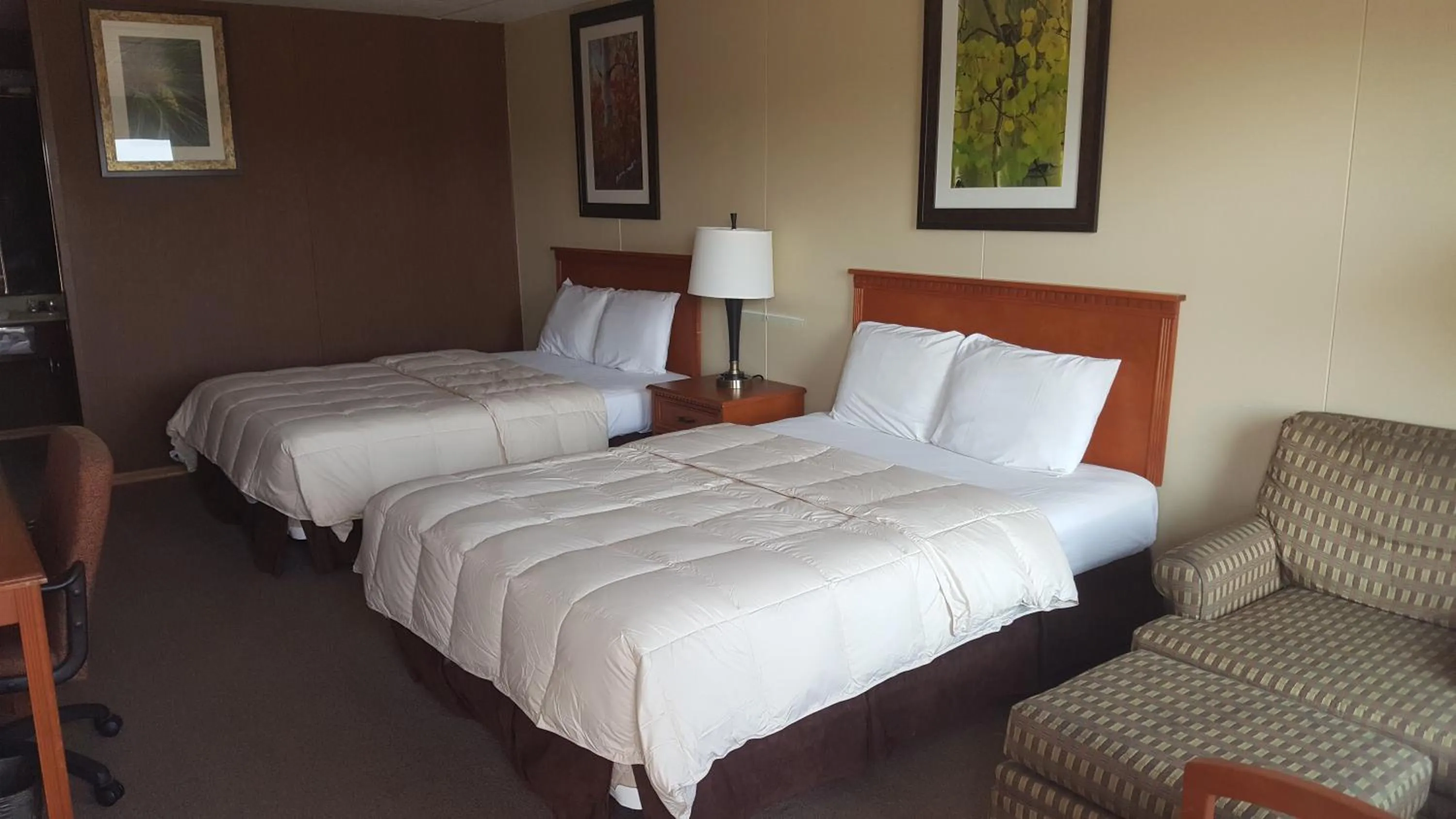 Bed in Budget Host Platte Valley Inn