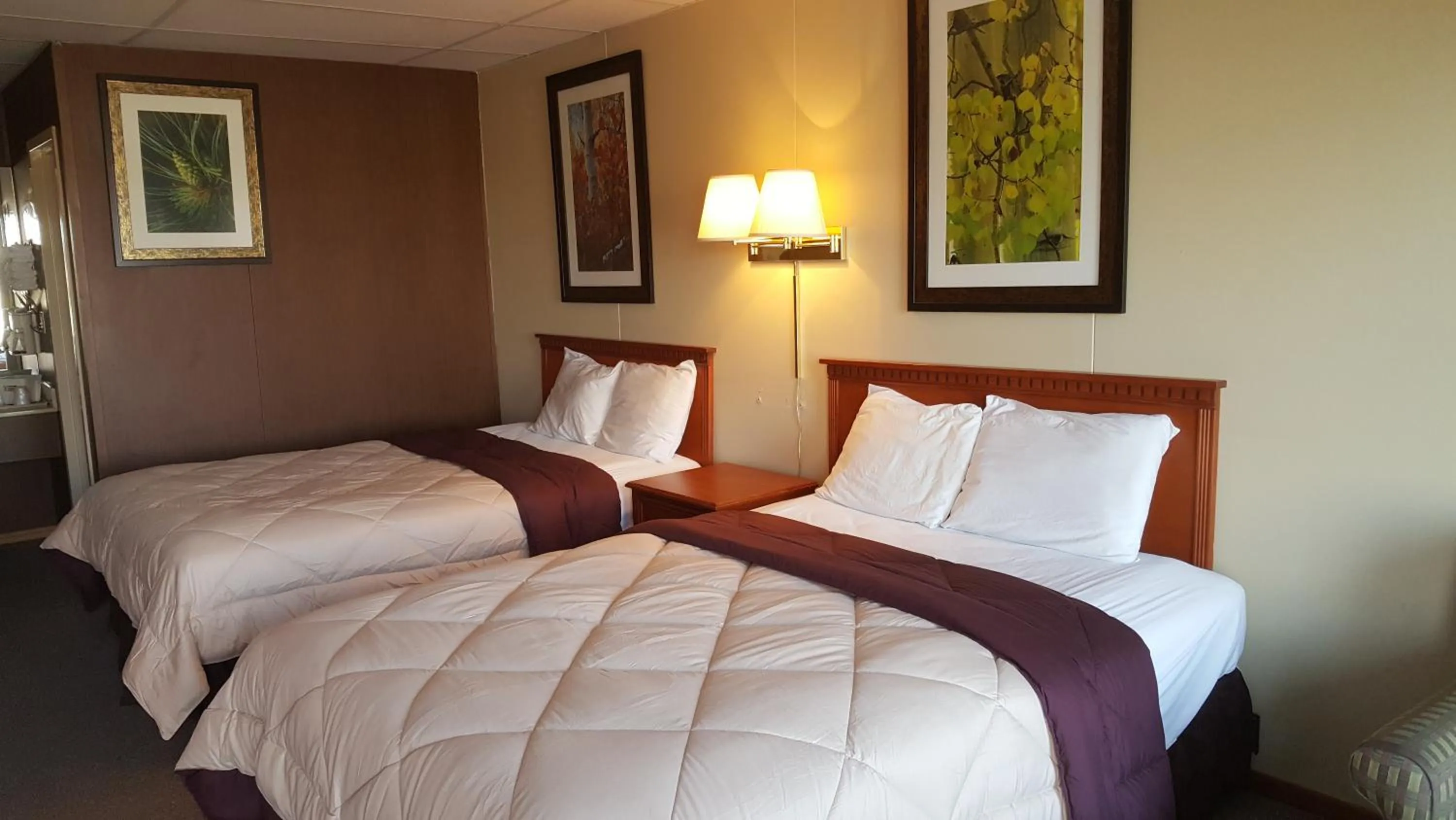 Bed in Budget Host Platte Valley Inn