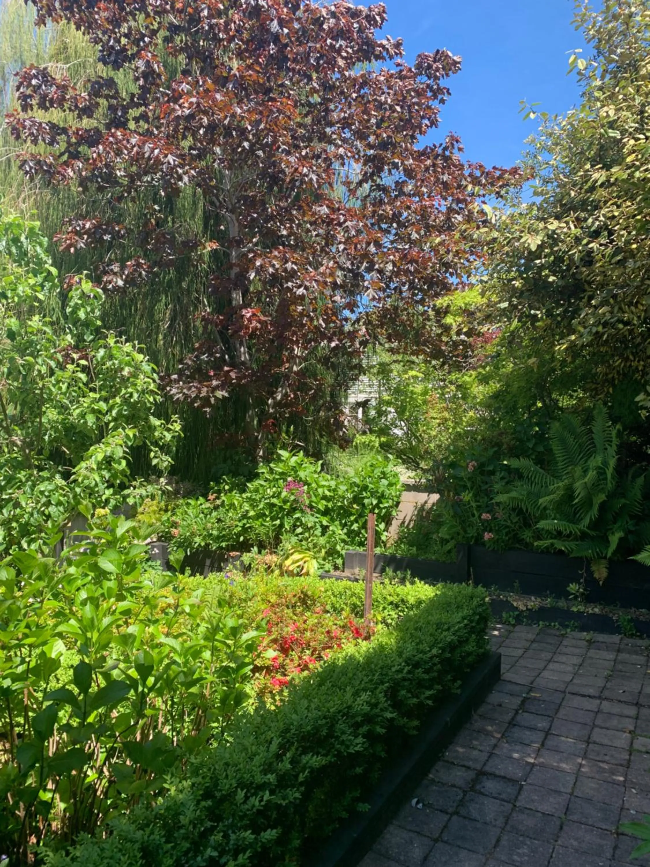 Garden in March Apartments