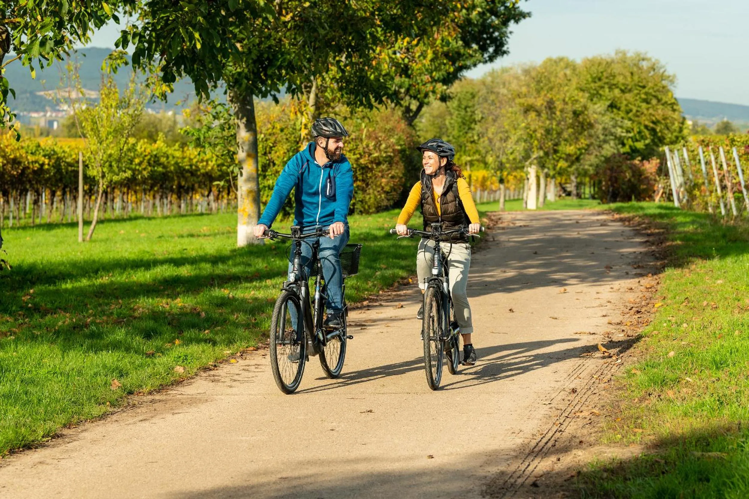 Cycling in Hotel Am Hirschhorn - Wellness - Spa - and more