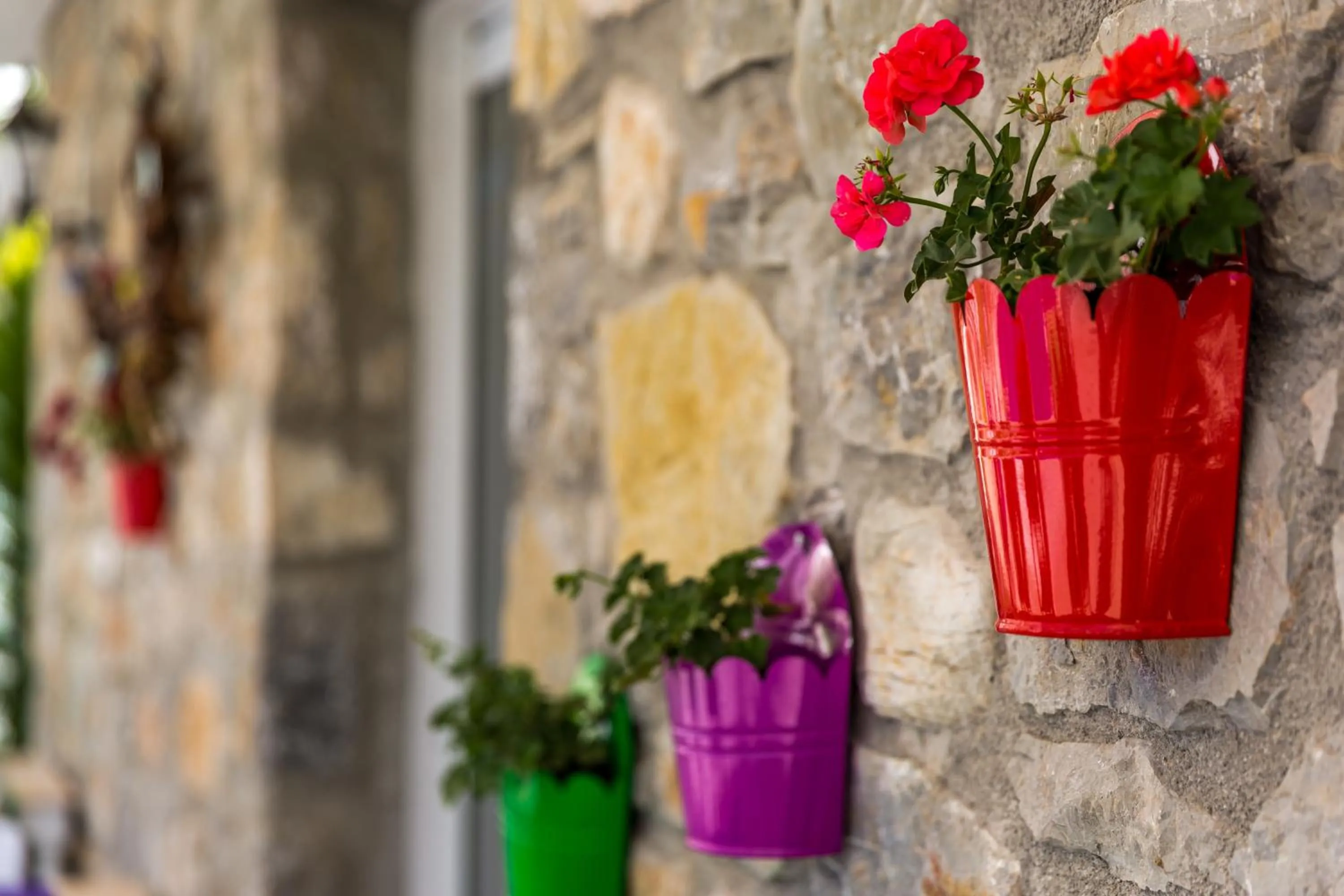 Restaurant/places to eat in Kalina Hotel