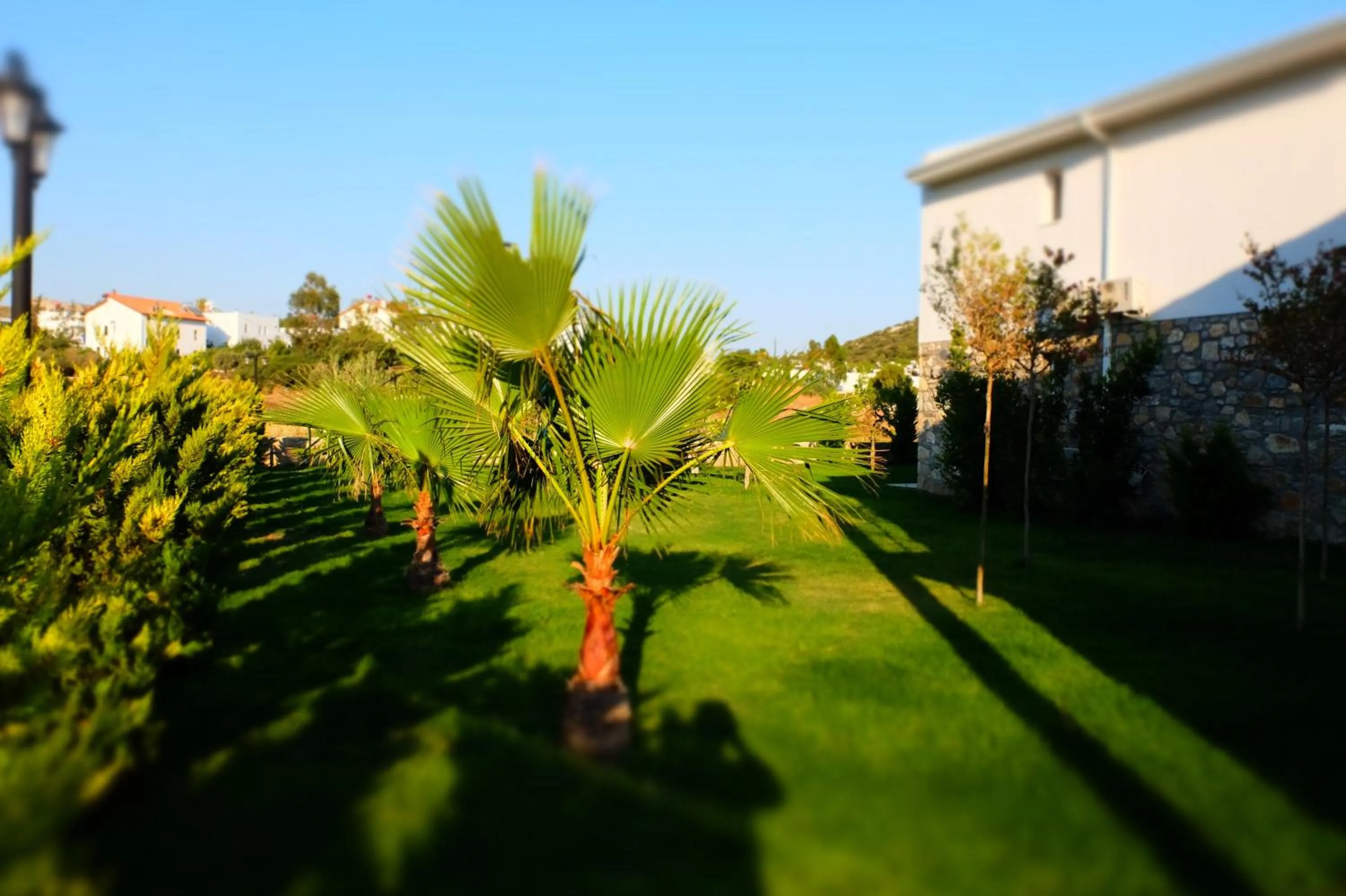 Natural landscape in Kalina Hotel