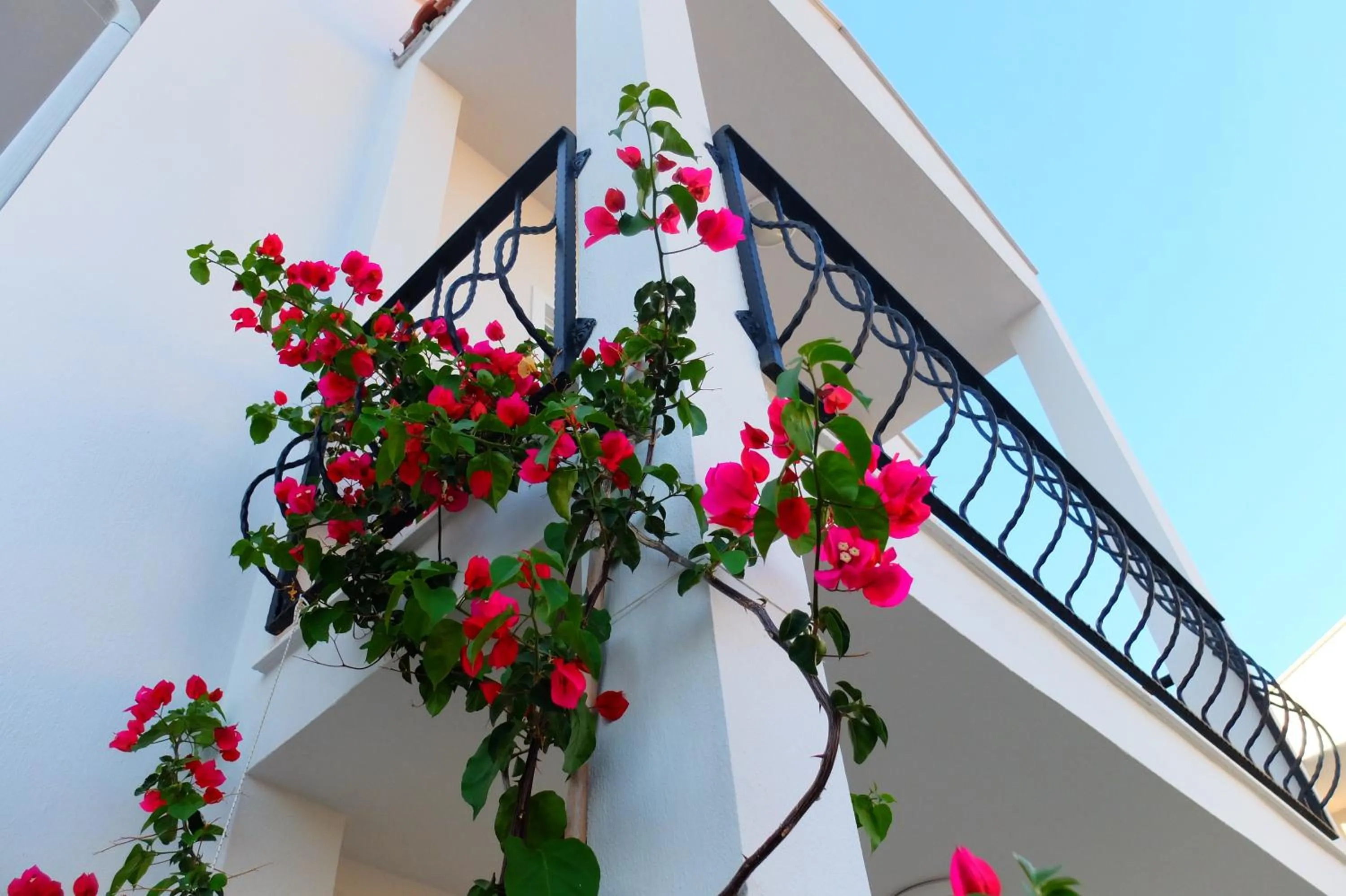 Balcony/Terrace in Kalina Hotel